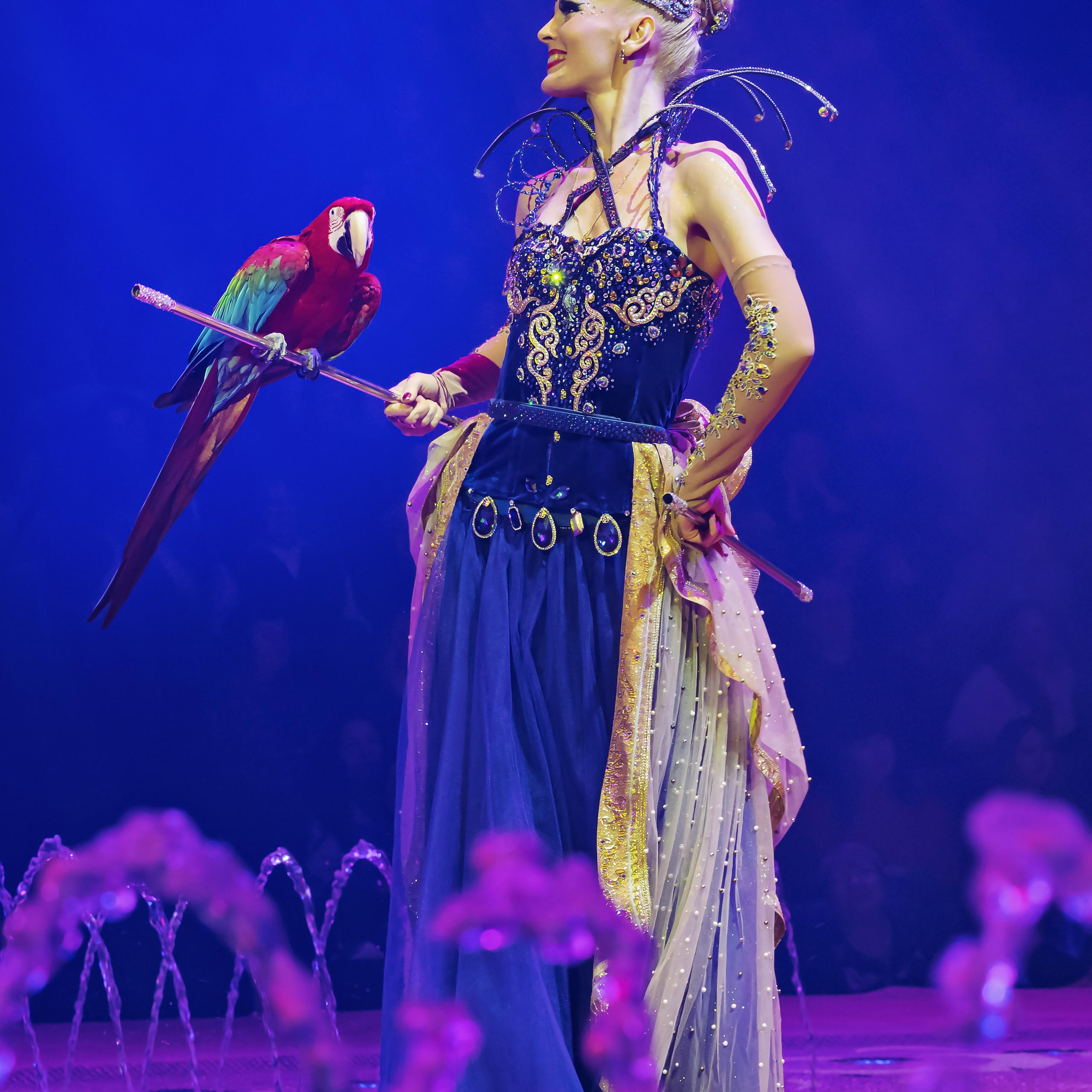 Шоу фонтанов «Принц цирка» 🎪 09.11.2024. Фотограф Андрей Пухов (Jazz)