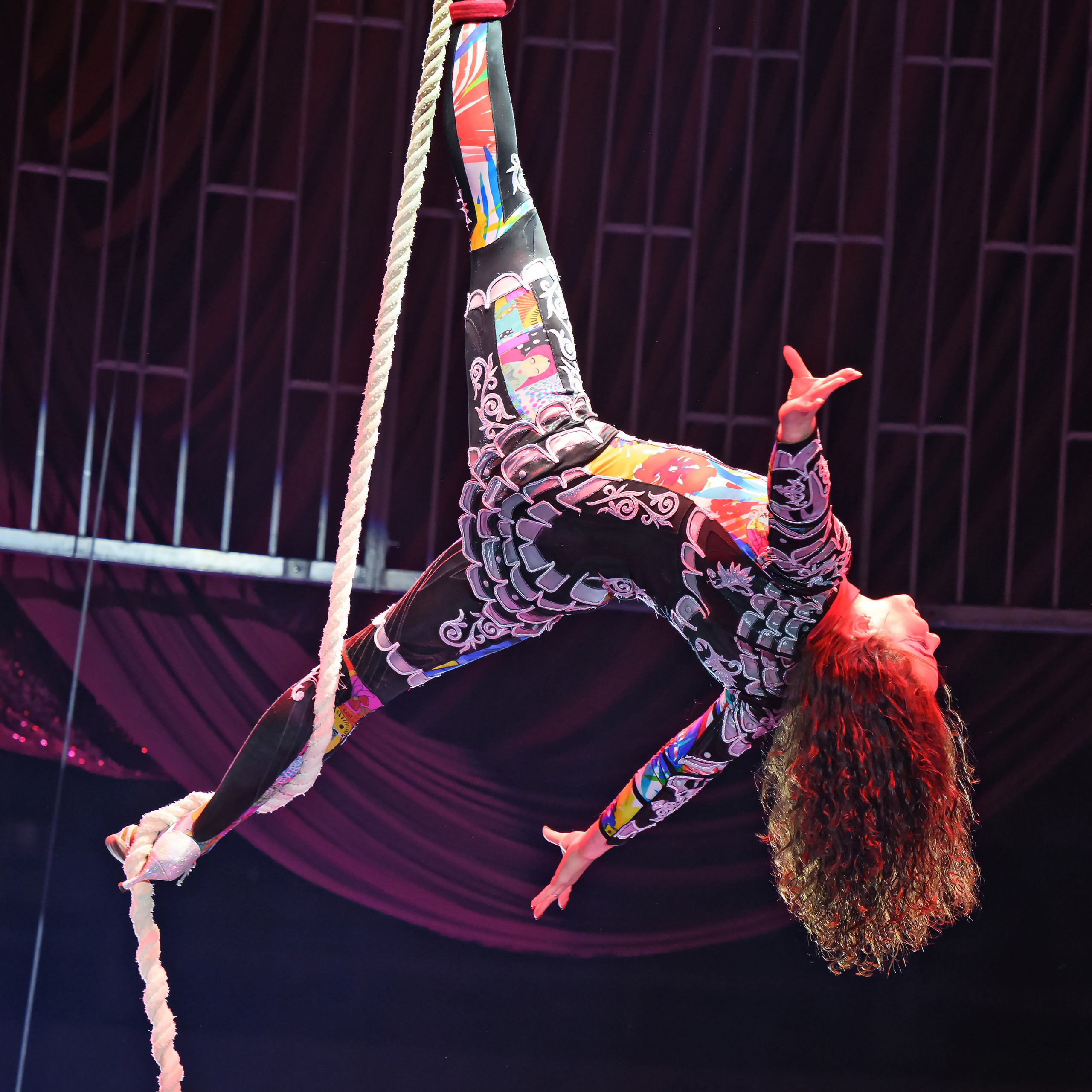 Принц Цирка (Продюсерский центр Влада Гончарова)🎪🦁. Фотограф Андрей Пухов (Jazz)