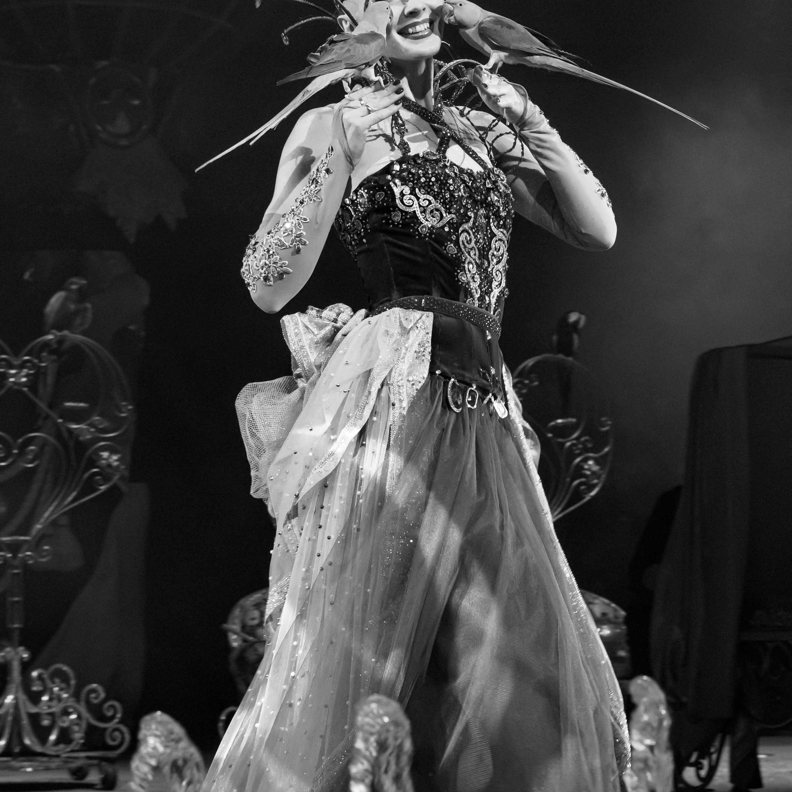 Шоу фонтанов «Принц цирка» 🎪 09.11.2024. Фотограф Андрей Пухов (Jazz)