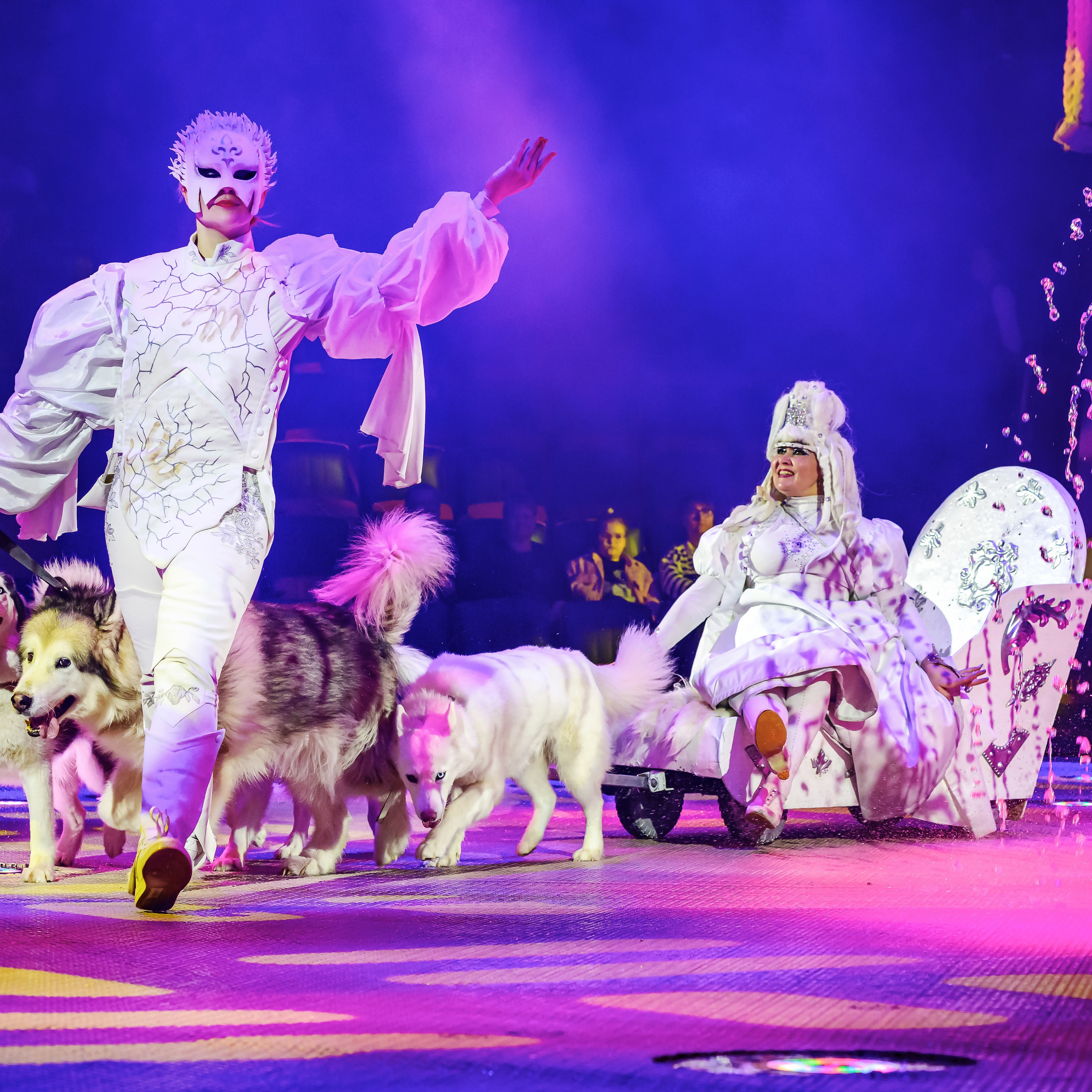 Принц Цирка (Продюсерский центр Влада Гончарова)🎪🦁. Фотограф Андрей Пухов (Jazz)