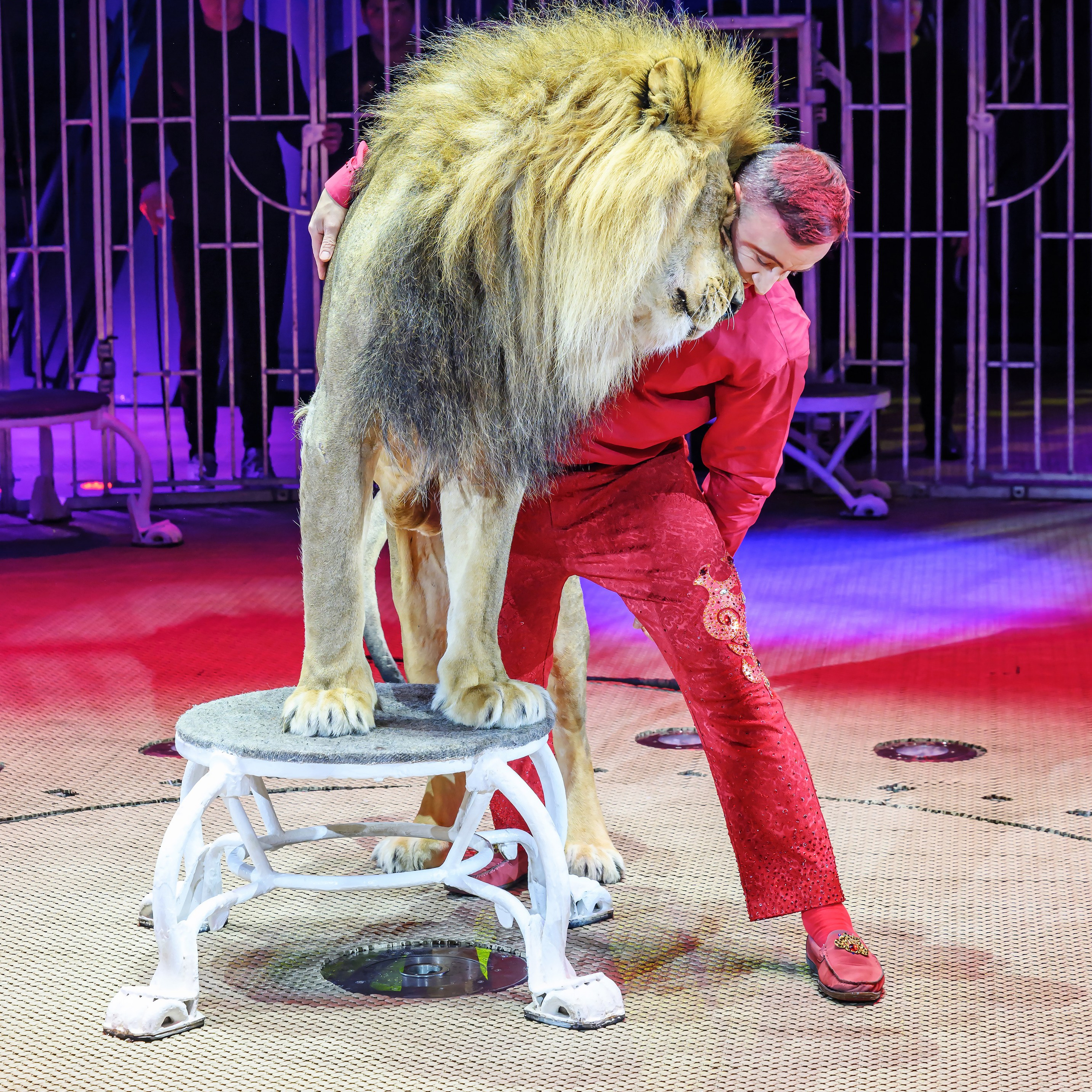 «13 месяцев. Шоу ледяных фонтанов»❄💙. Фотограф Андрей Пухов (Jazz)