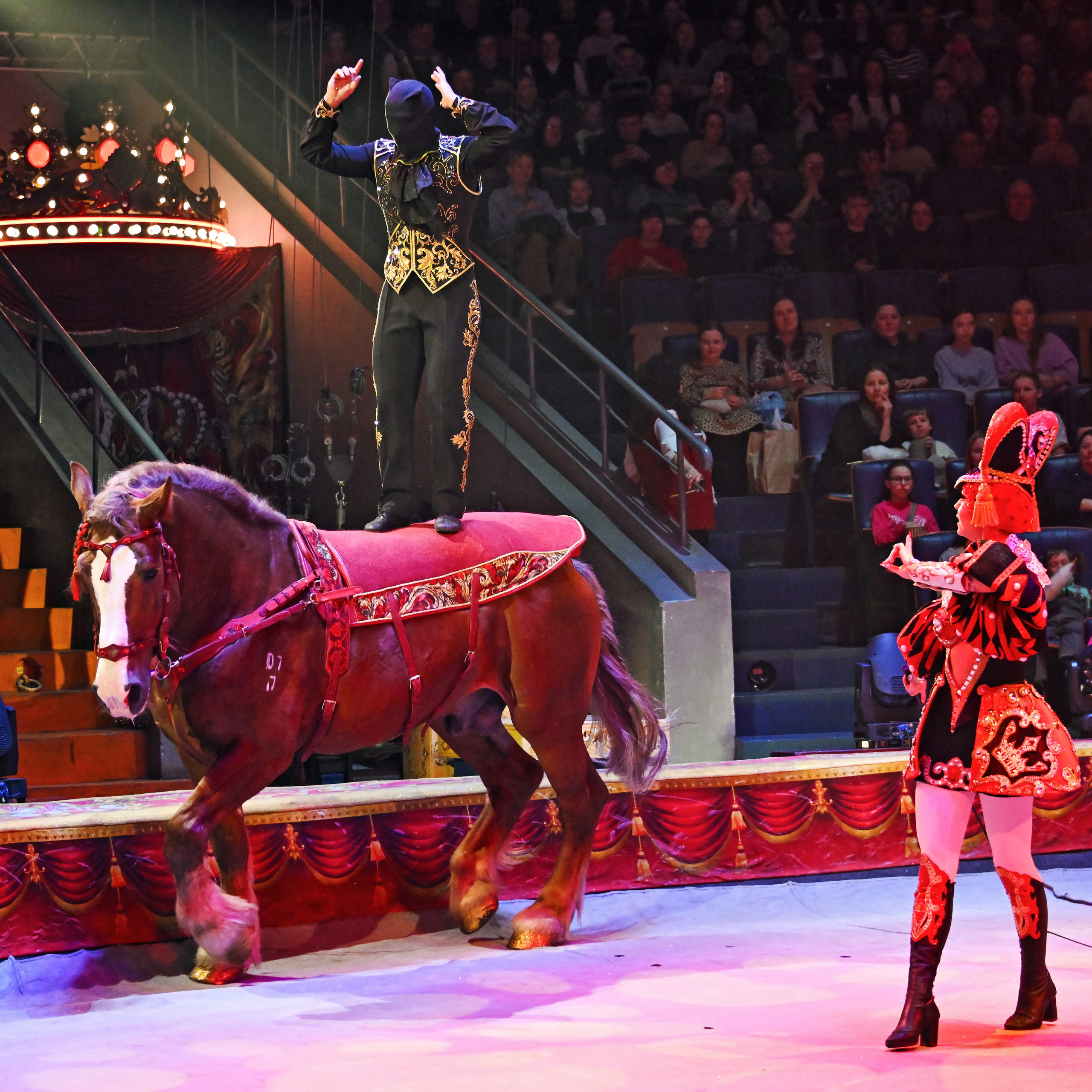 Вечное искусство удивлять: Королевский цирк Гии Эрадзе 👑 Роскошь здесь в каждой детали 💫✨⭐. Фотограф Андрей Пухов (Jazz)