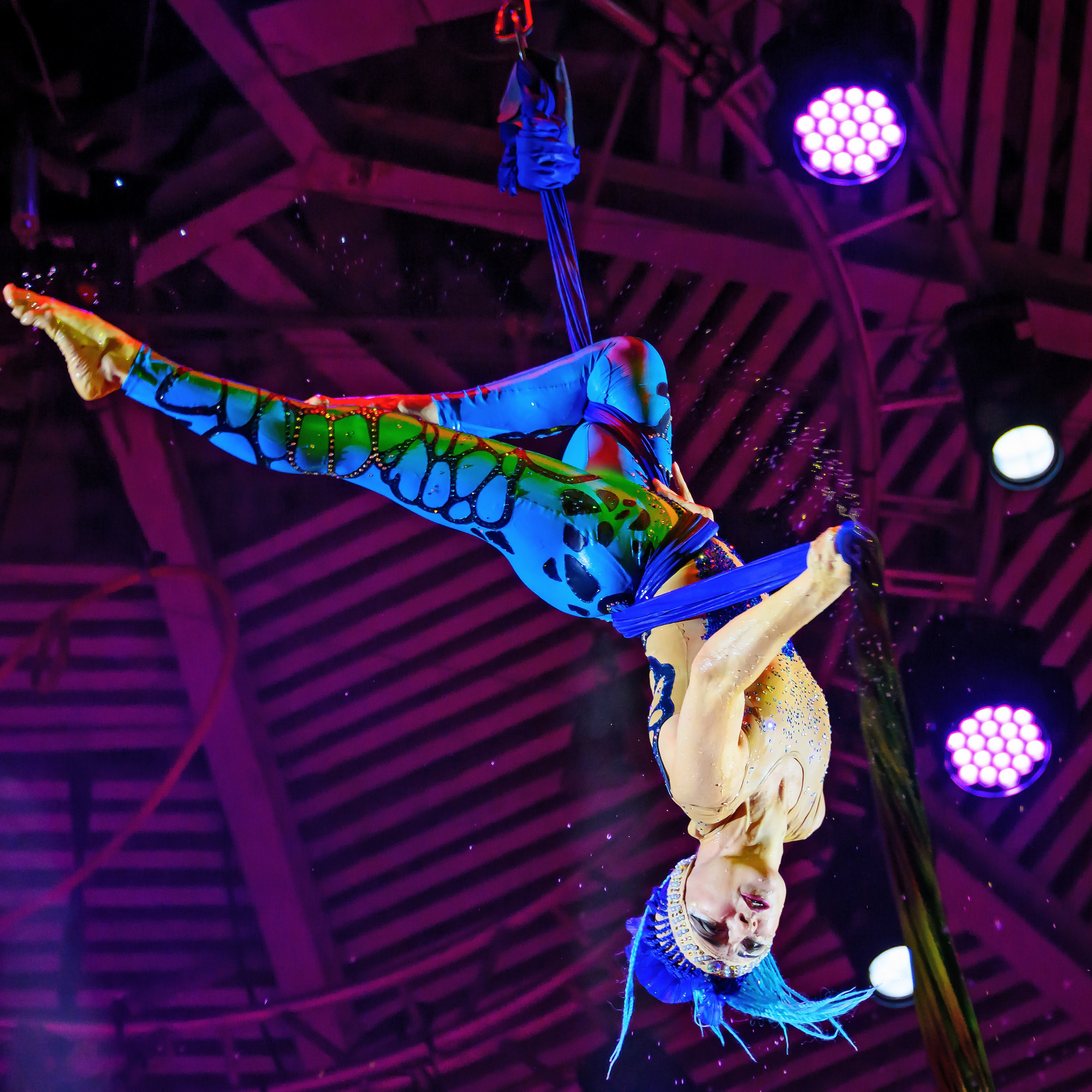 🎪 «Цирк на воде💦 🏰Царство фонтанов**»✨🌊🎭. Фотограф Андрей Пухов (Jazz)