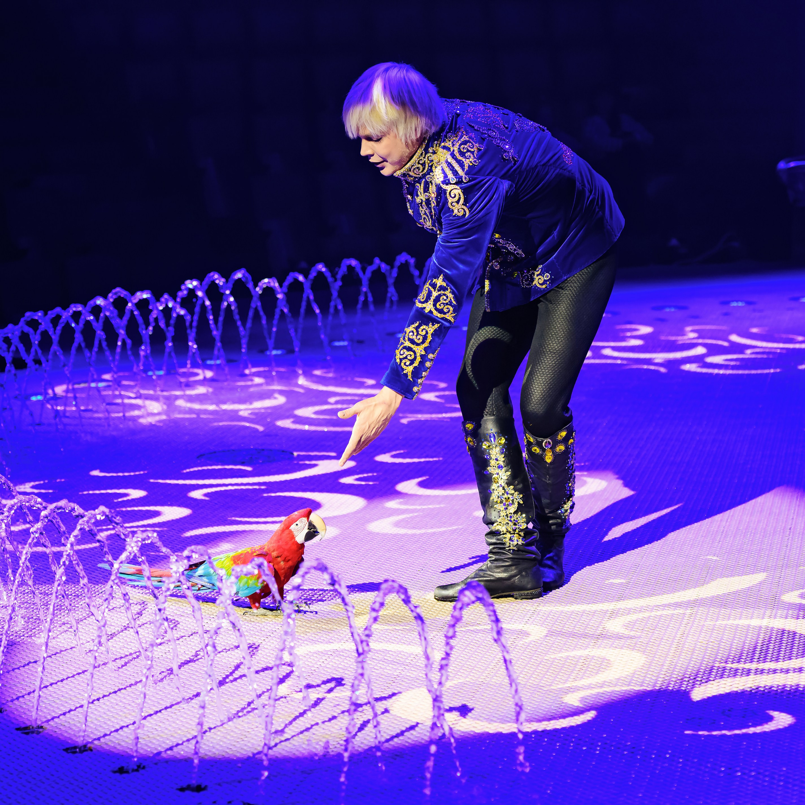 Принц Цирка (Продюсерский центр Влада Гончарова)🎪🦁. Фотограф Андрей Пухов (Jazz)