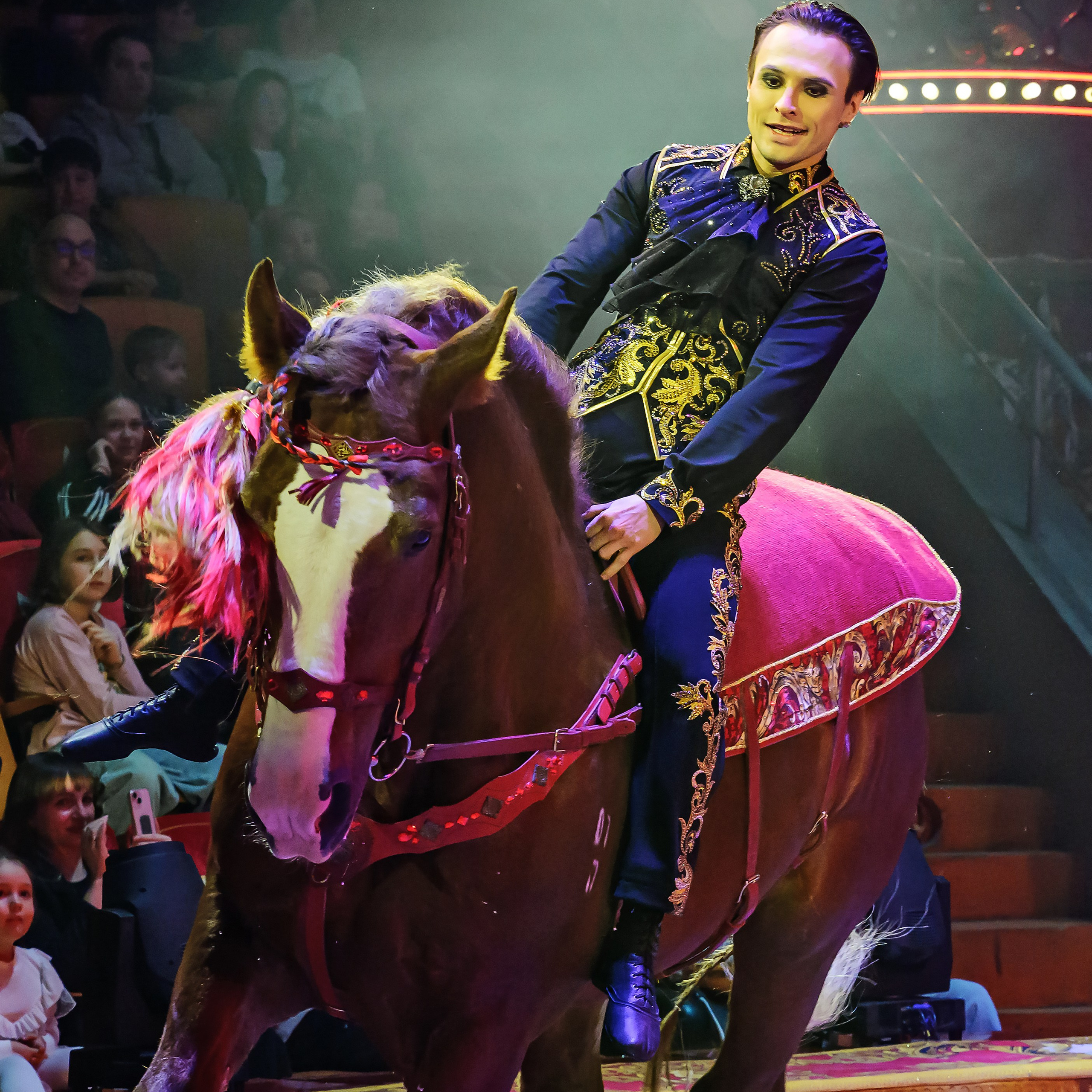 Royal Circus (новые номера). Фотограф Андрей Пухов (Jazz)