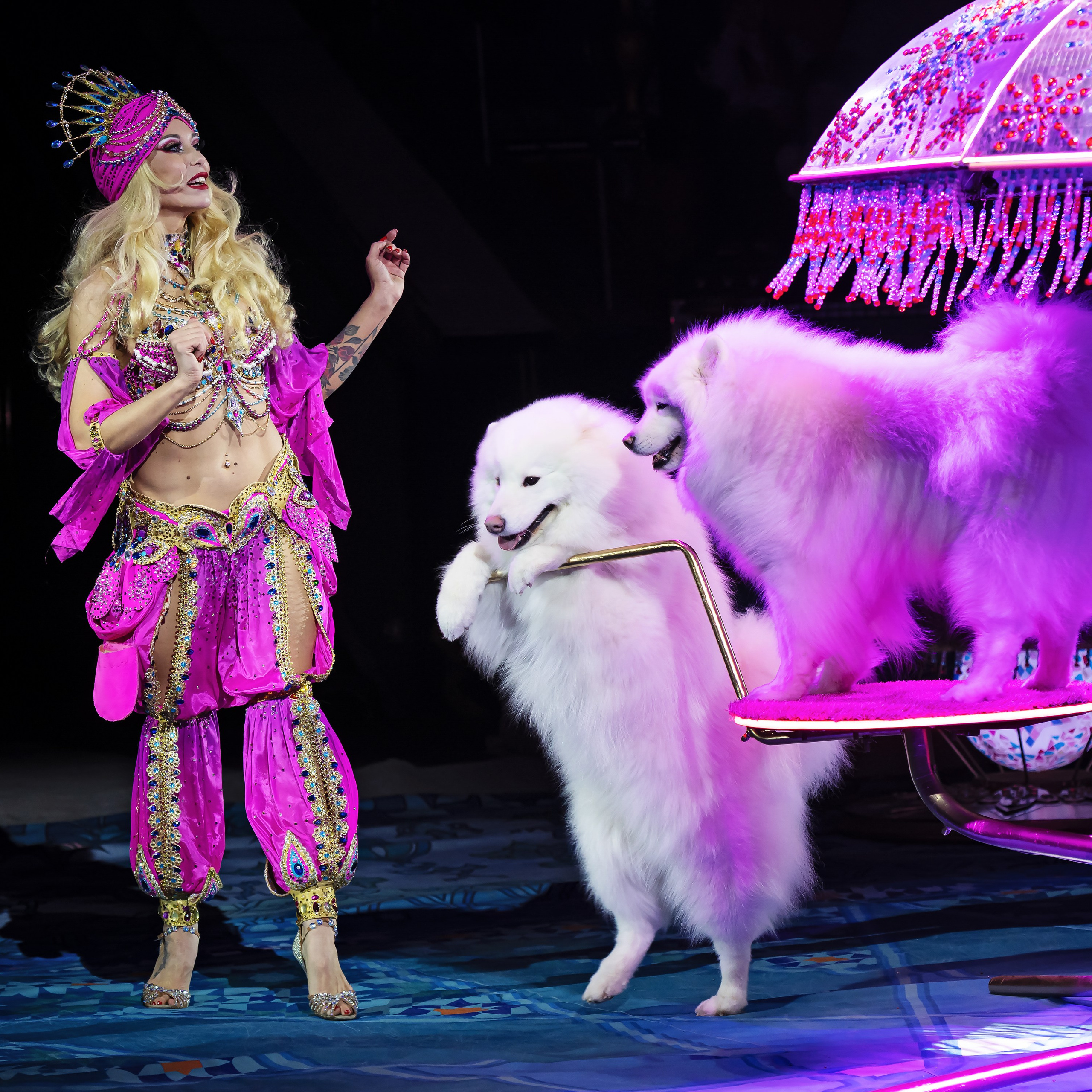 Песчаная сказка — Нижегородский Государственный Цирк (Премьера). Цирковой фотограф Андрей Пухов (Jazz)