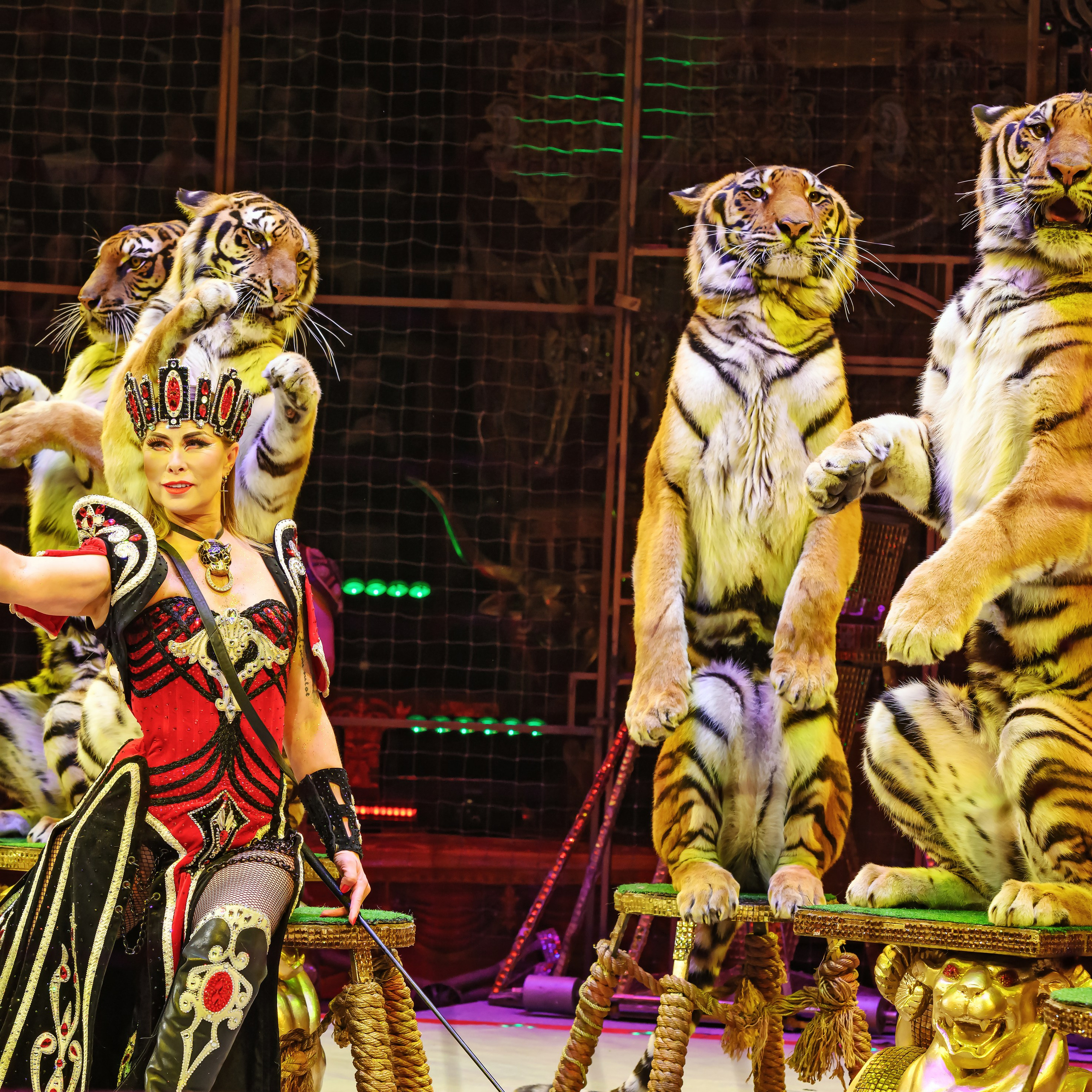 Шоу «Королевский цирк». Фотограф Андрей Пухов (Jazz)