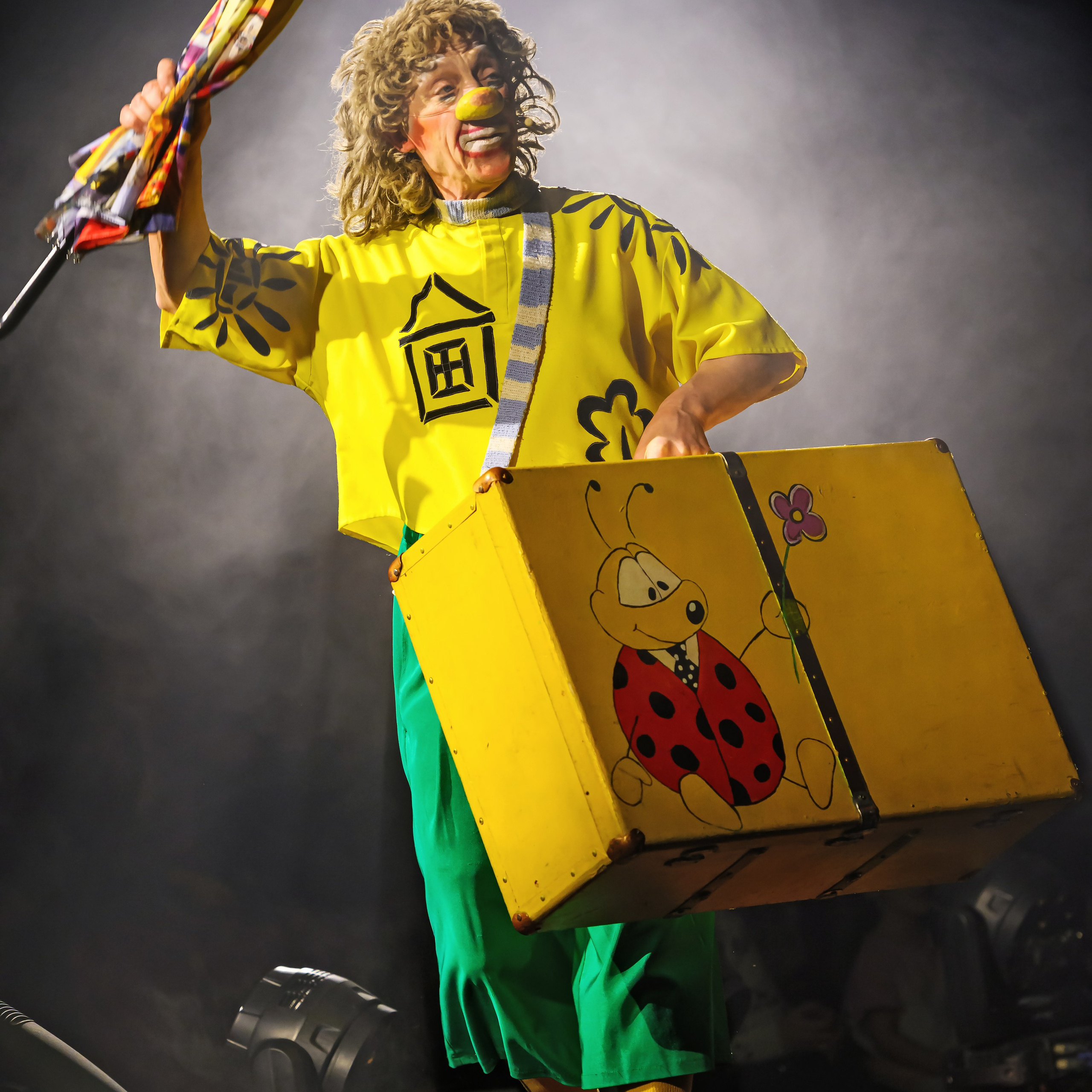 Шоу «Королевский цирк». Фотограф Андрей Пухов (Jazz)