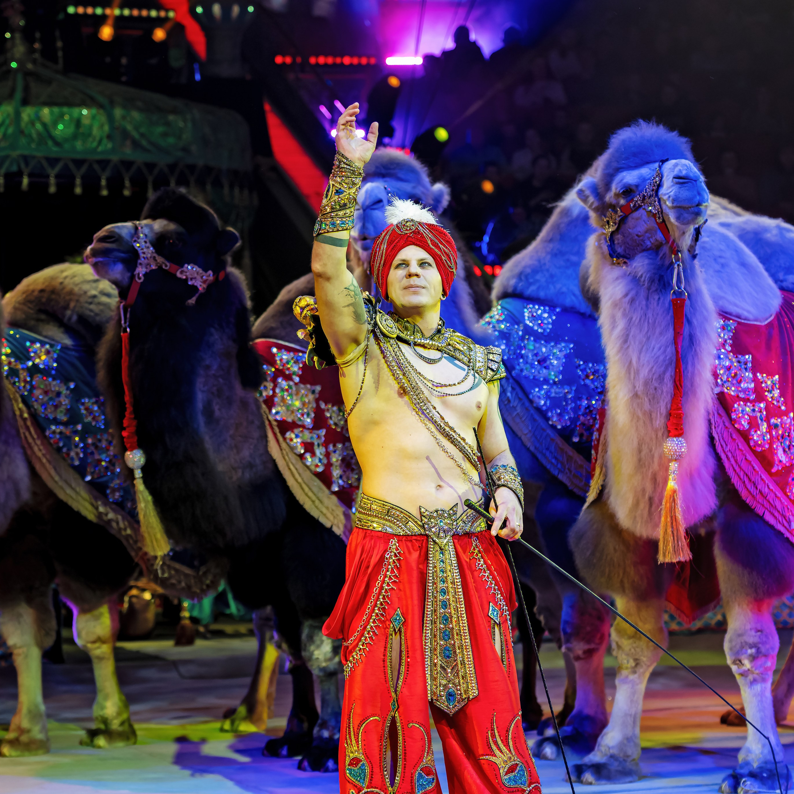 Песчаная сказка — Нижегородский Государственный Цирк (Премьера). Цирковой фотограф Андрей Пухов (Jazz)