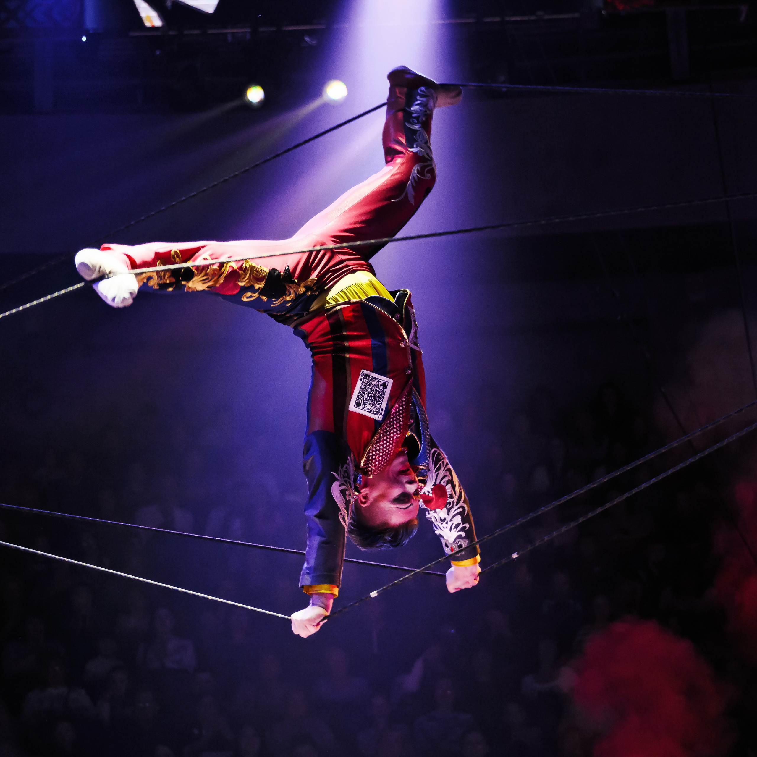 «С окончанием» шоу «Песчаная сказка» в Нижнем Новгороде. ✨🎪🐪. Цирковой фотограф Андрей Пухов (Jazz)