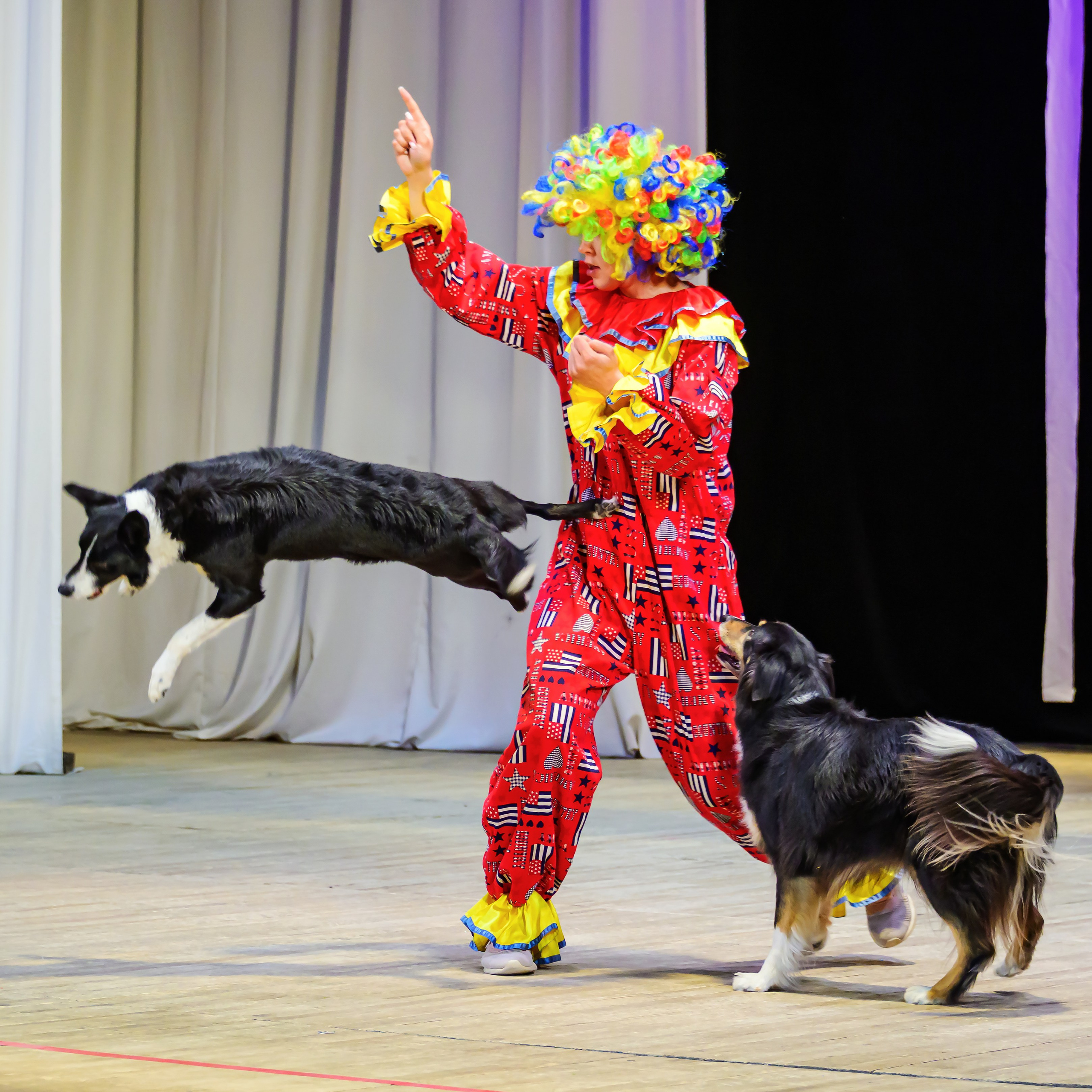 Народный коллектив, цирк «Юность» ДК ГАЗ, г. Нижний Новгород 👏. Фотограф Андрей Пухов (Jazz)