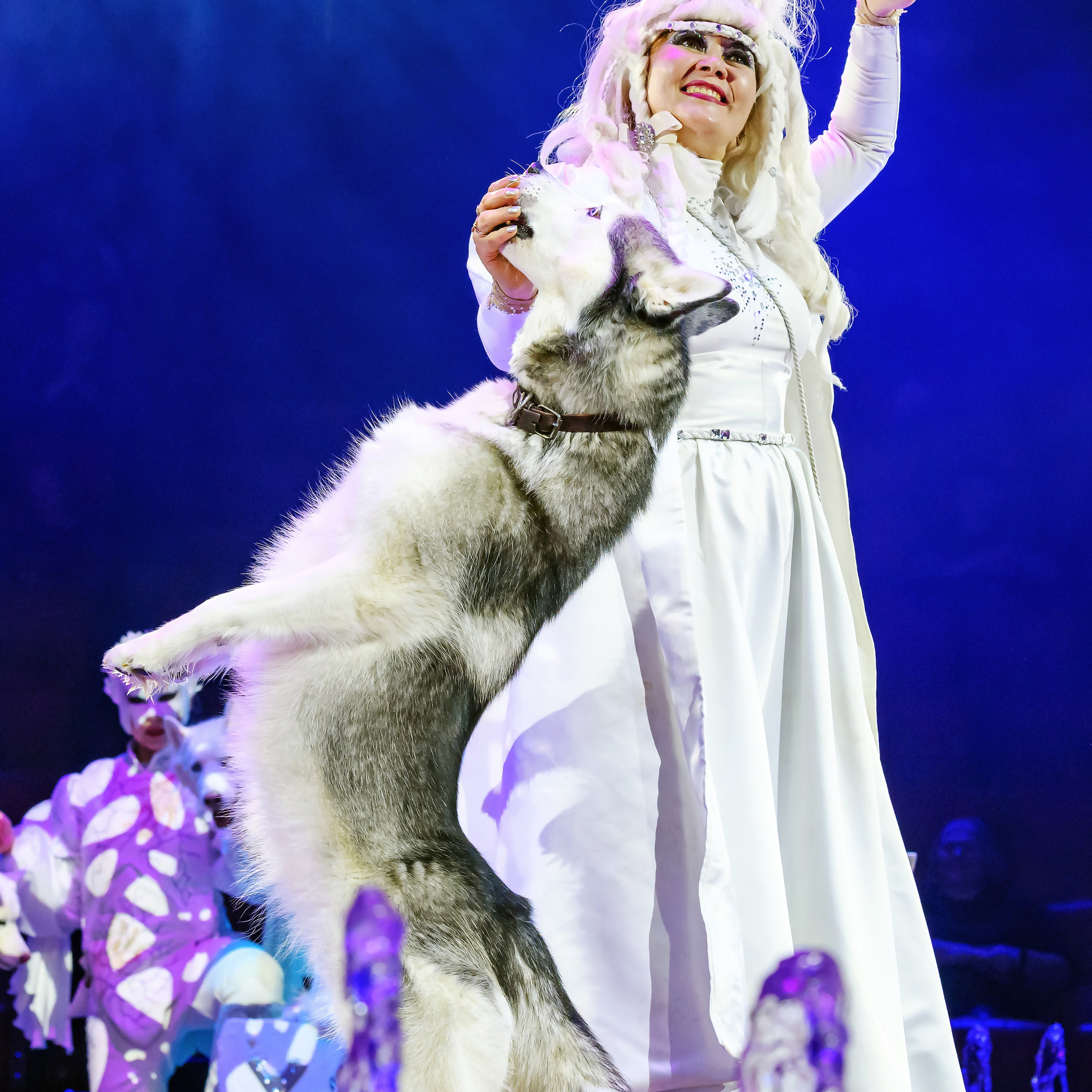 Принц Цирка (Продюсерский центр Влада Гончарова)🎪🦁. Фотограф Андрей Пухов (Jazz)