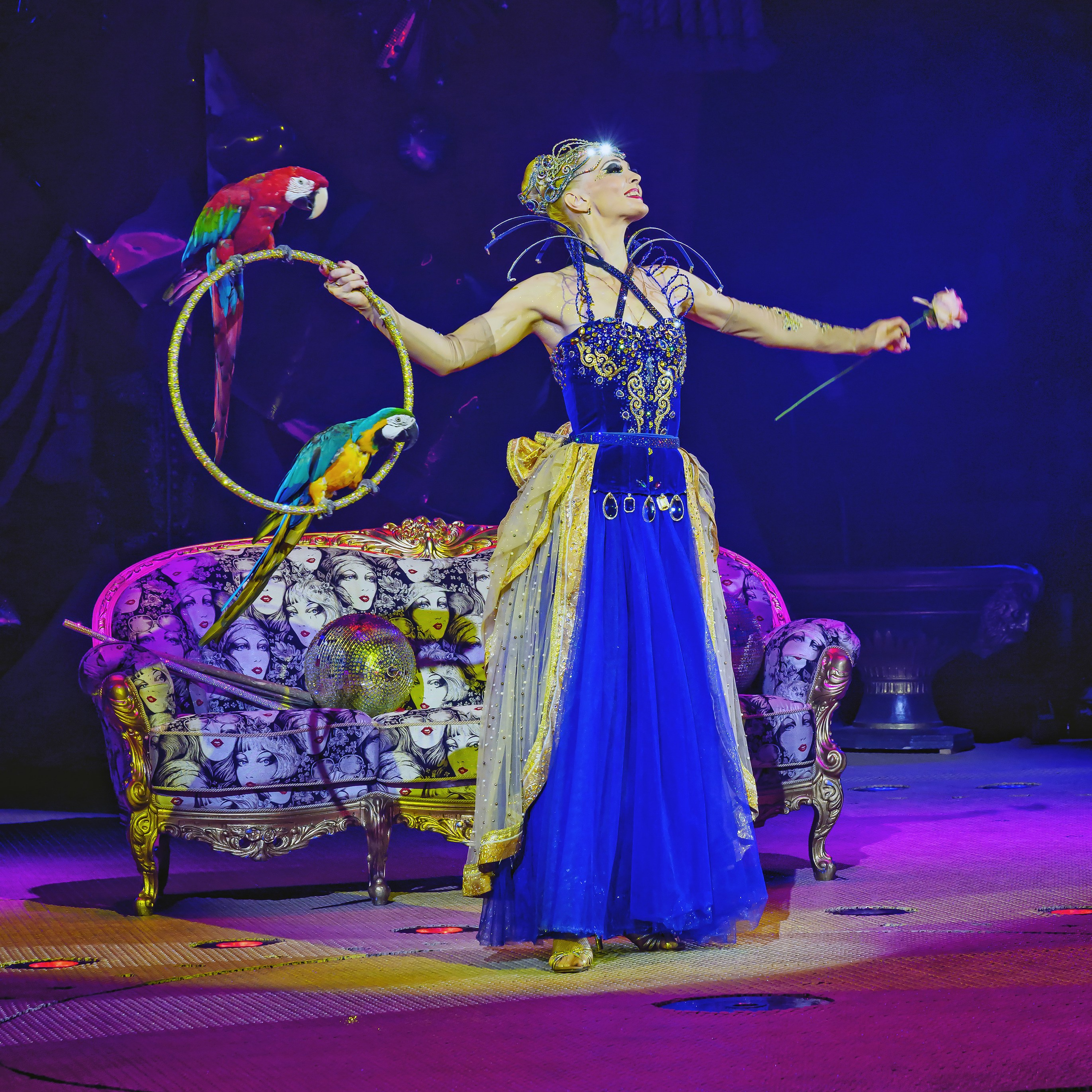 Шоу фонтанов «Принц цирка» 🎪 09.11.2024. Фотограф Андрей Пухов (Jazz)