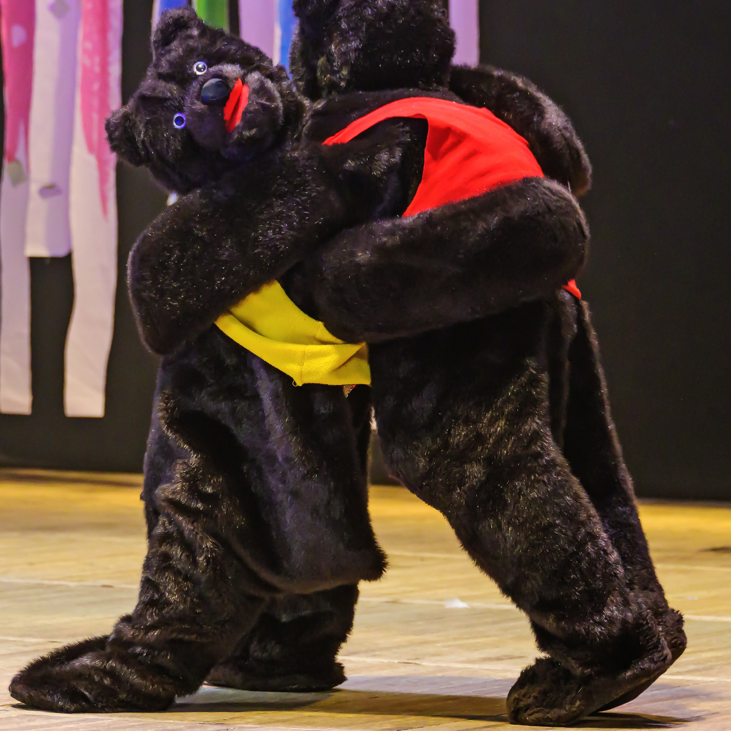 Народный коллектив, цирк «Юность» ДК ГАЗ, г. Нижний Новгород 👏. Фотограф Андрей Пухов (Jazz)