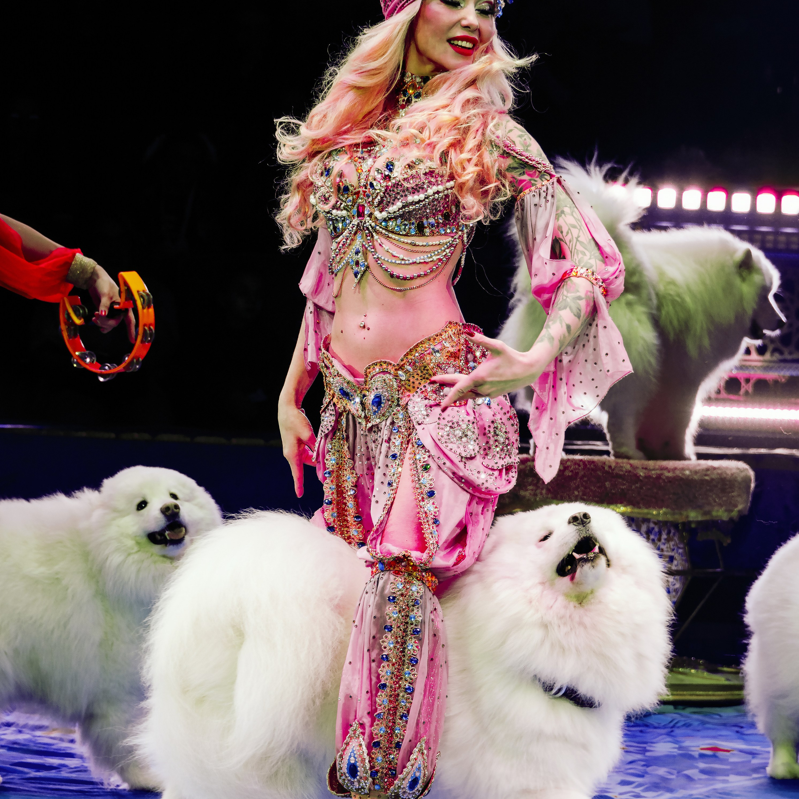 Песчаная сказка Гии Эрадзе — волшебное шоу 🎪, которое должен увидеть каждый, кто ценит красоту🌹, талант 🎭 и умение мечтать 💫. Цирковой фотограф Андрей Пухов (Jazz)