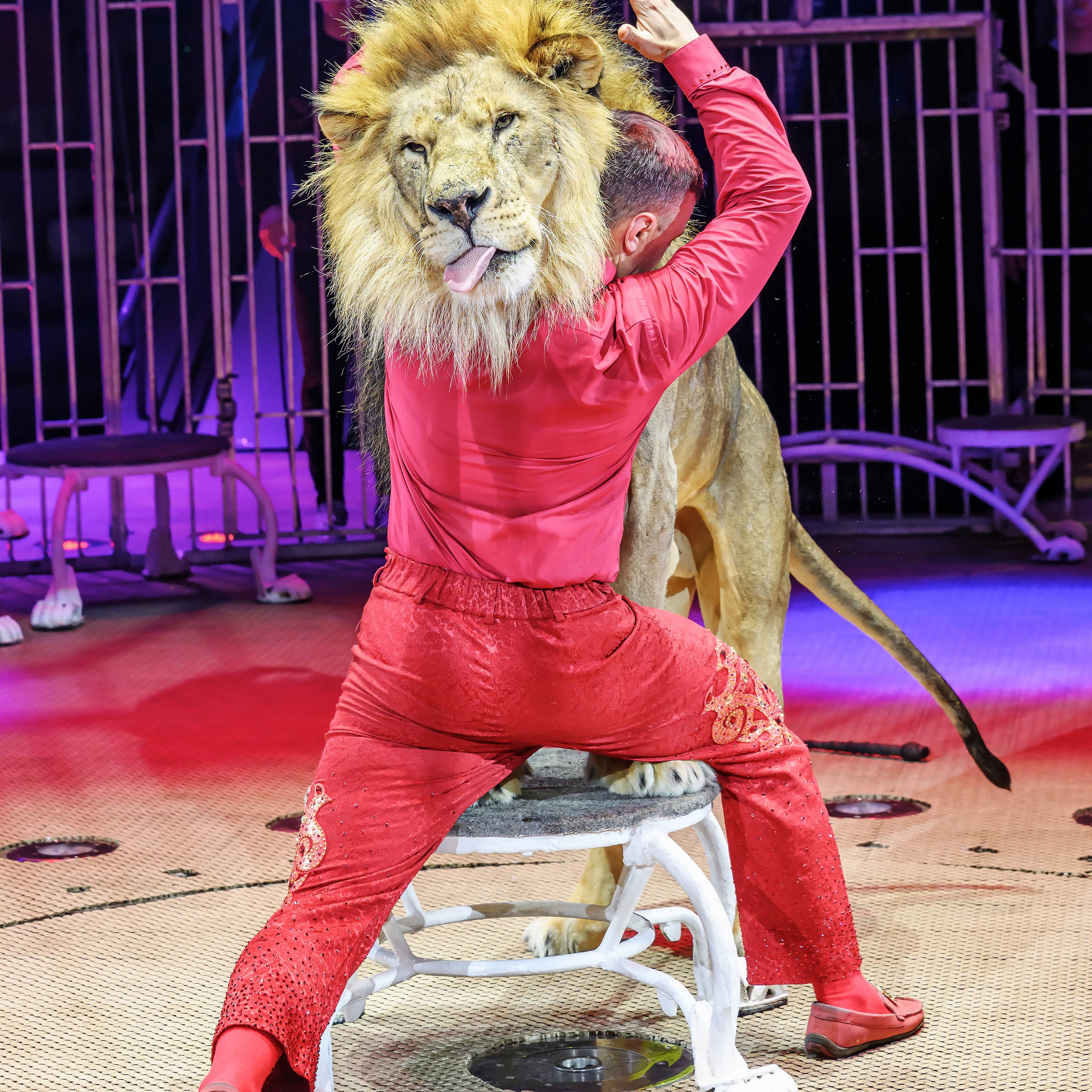 «13 месяцев. Шоу ледяных фонтанов»❄💙. Фотограф Андрей Пухов (Jazz)