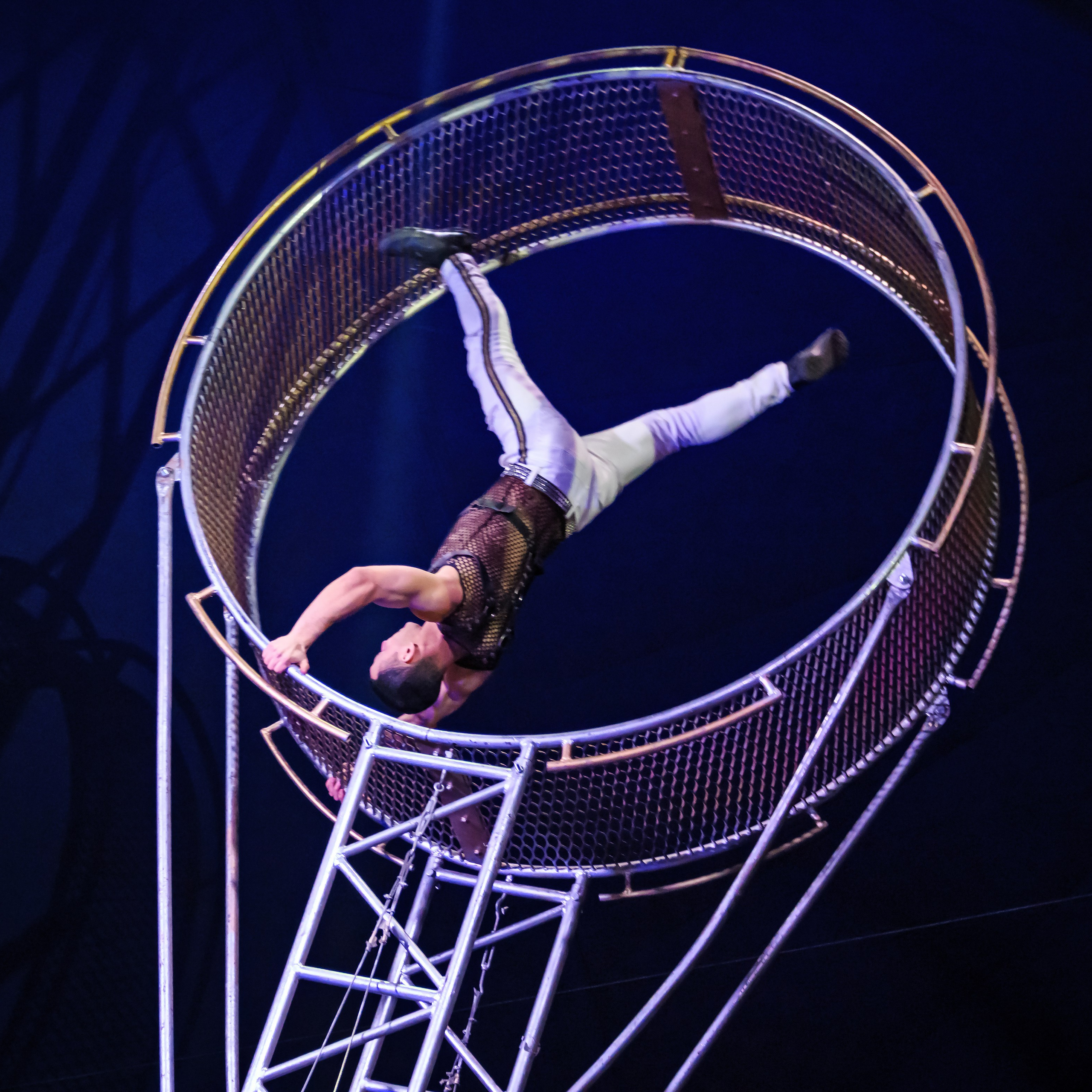 Шоу Демидовых. Цирковой фотограф Андрей Пухов (Jazz)