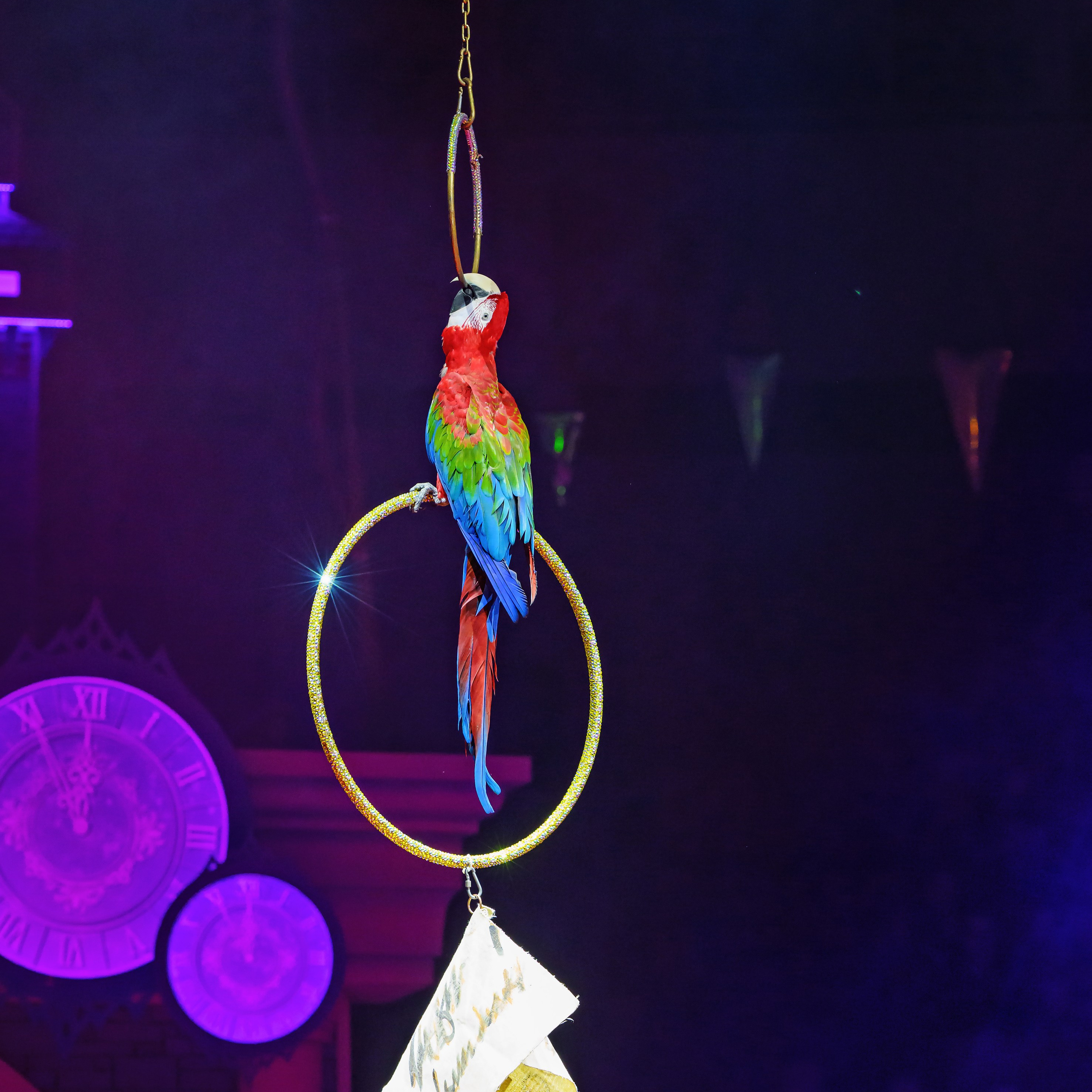 «13 месяцев. Шоу ледяных фонтанов»❄💙. Фотограф Андрей Пухов (Jazz)