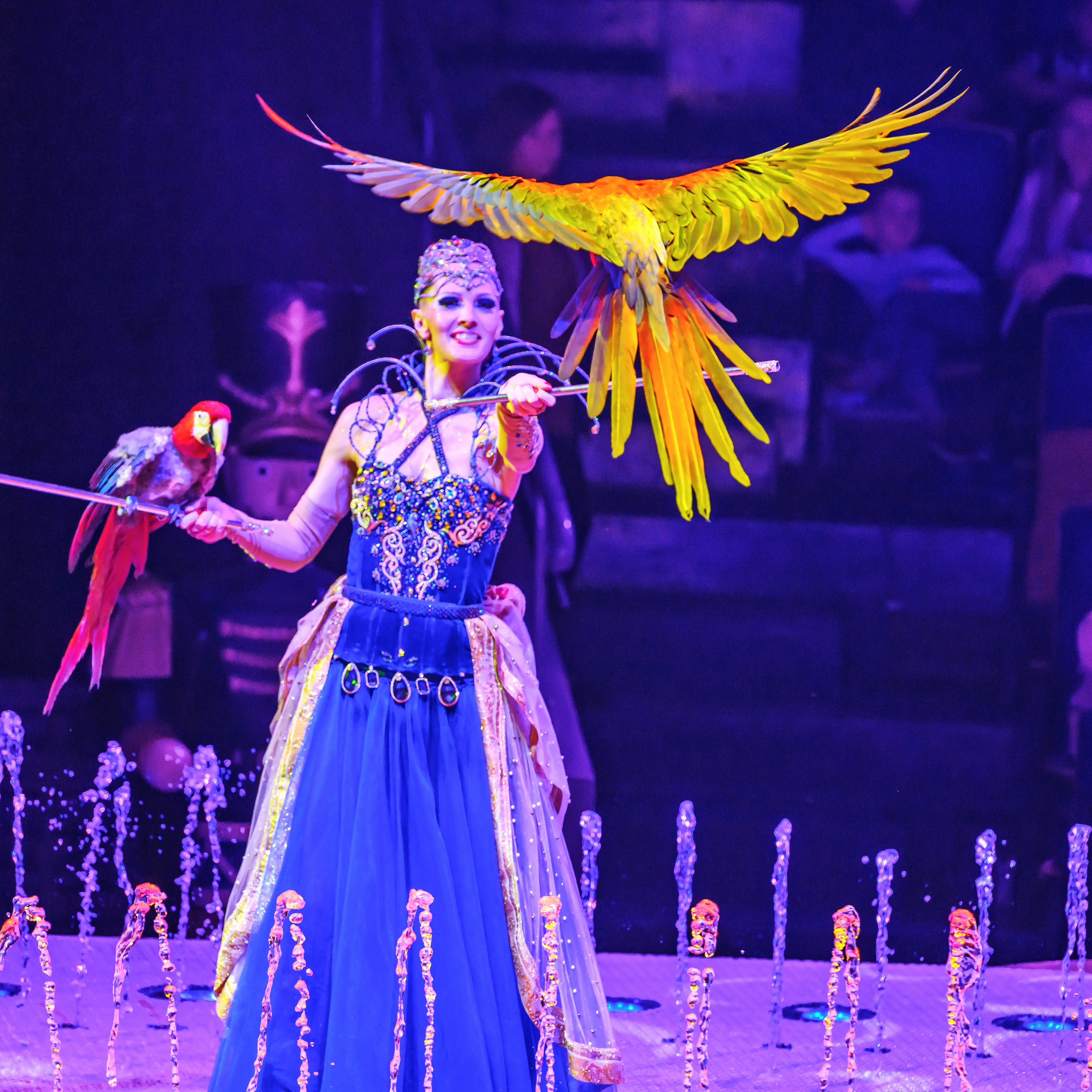 Принц Цирка (Продюсерский центр Влада Гончарова)🎪🦁. Фотограф Андрей Пухов (Jazz)