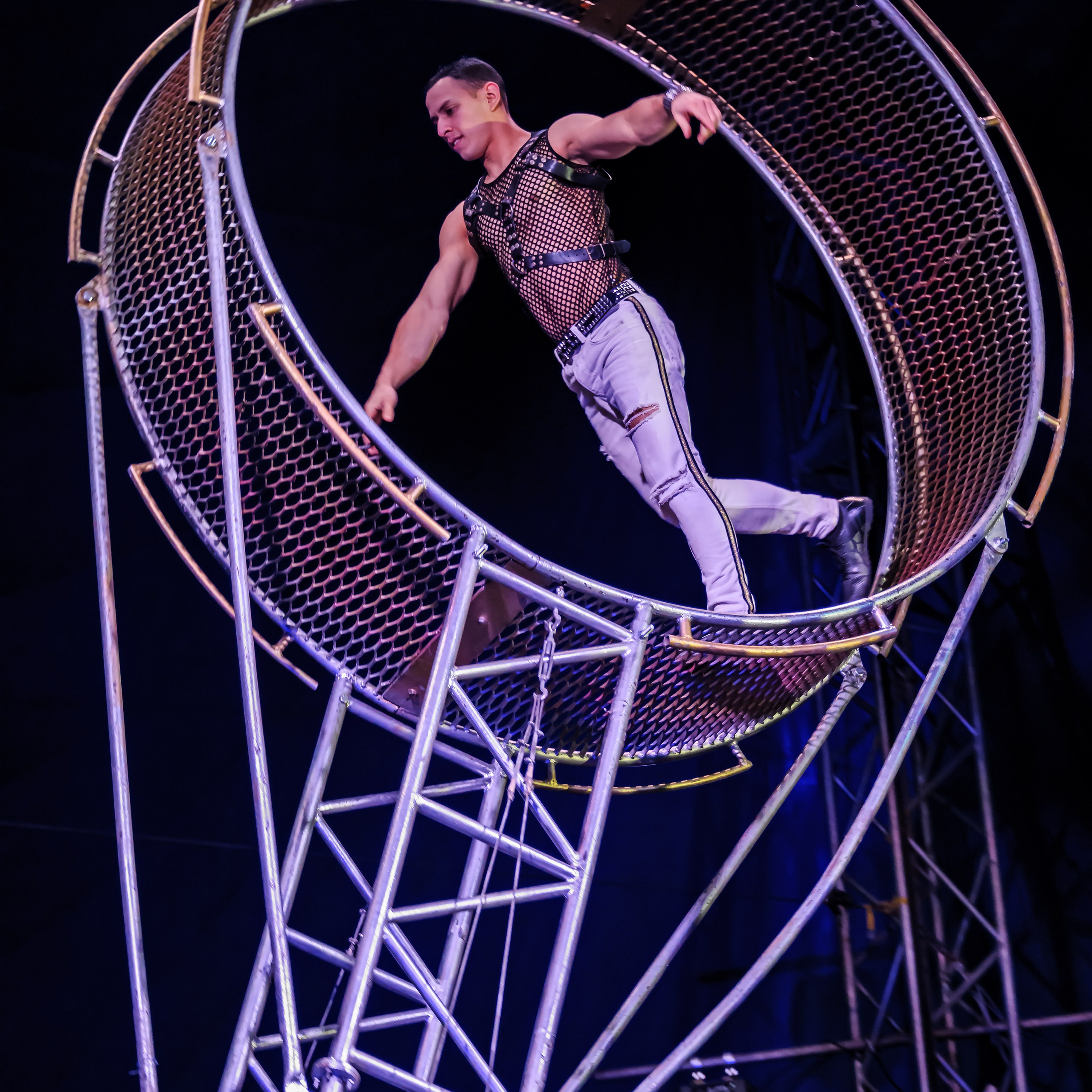 Шоу Демидовых. Цирковой фотограф Андрей Пухов (Jazz)