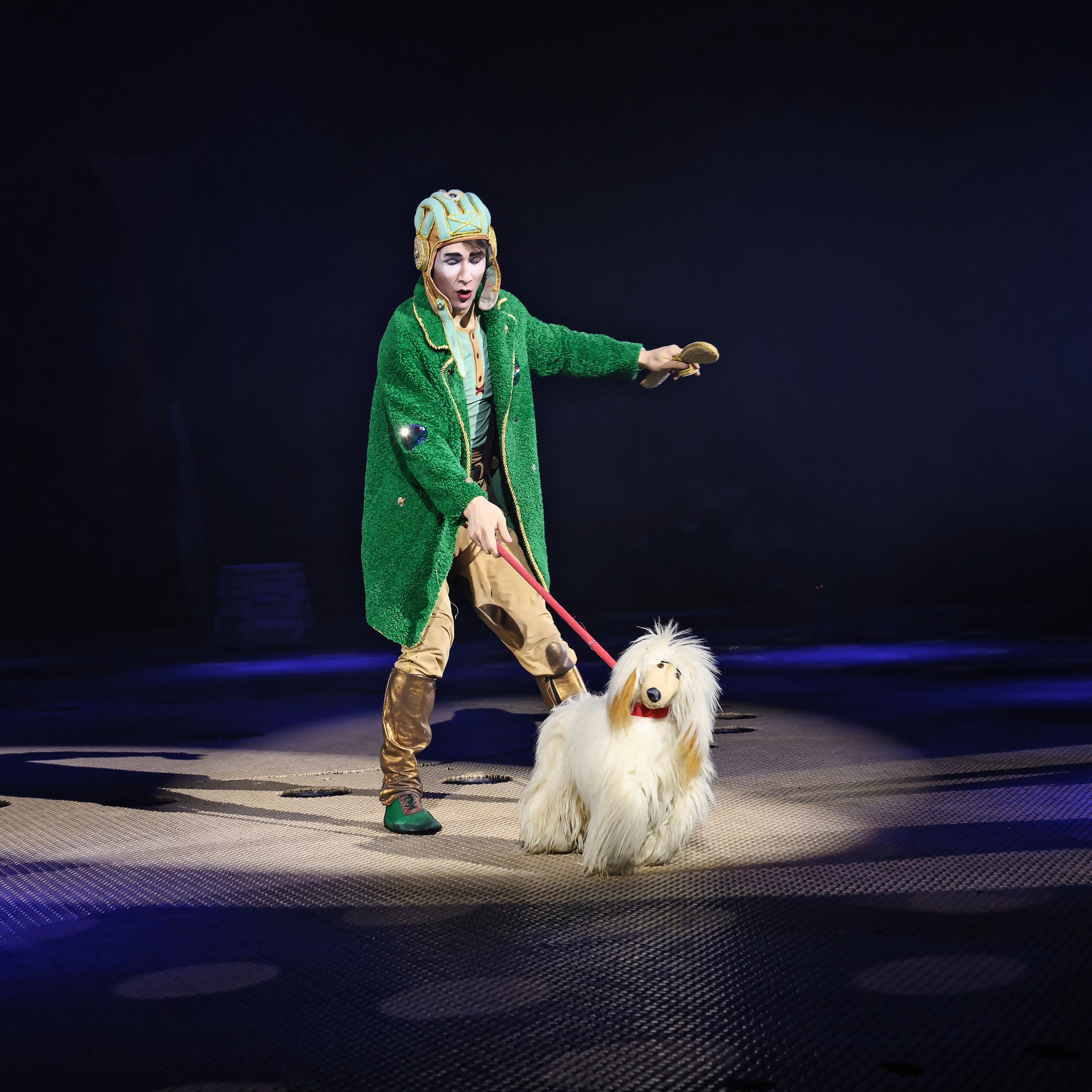 Шоу фонтанов «Принц цирка» 🎪 09.11.2024. Фотограф Андрей Пухов (Jazz)