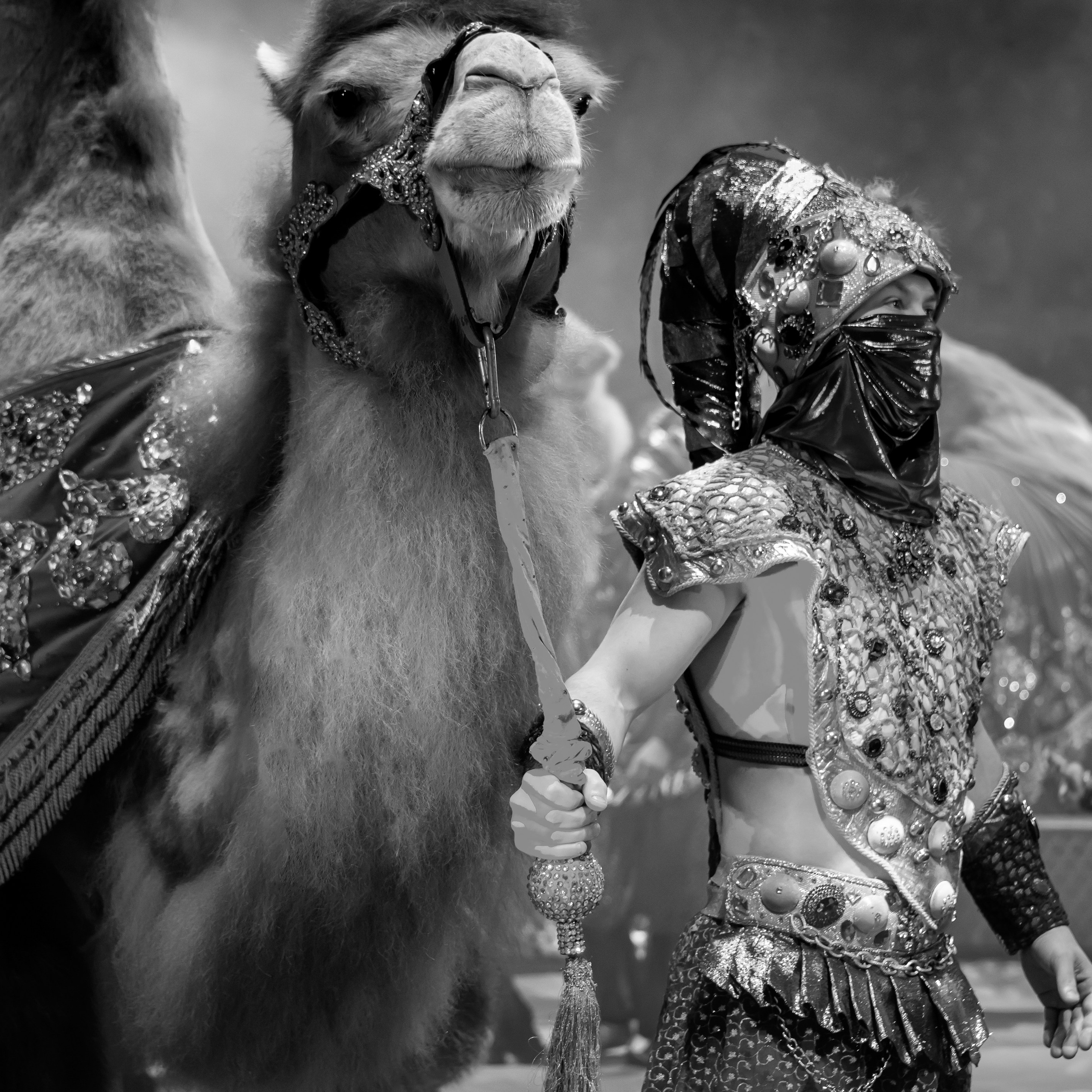 Песчаная сказка Гии Эрадзе — волшебное шоу 🎪, которое должен увидеть каждый, кто ценит красоту🌹, талант 🎭 и умение мечтать 💫. Цирковой фотограф Андрей Пухов (Jazz)