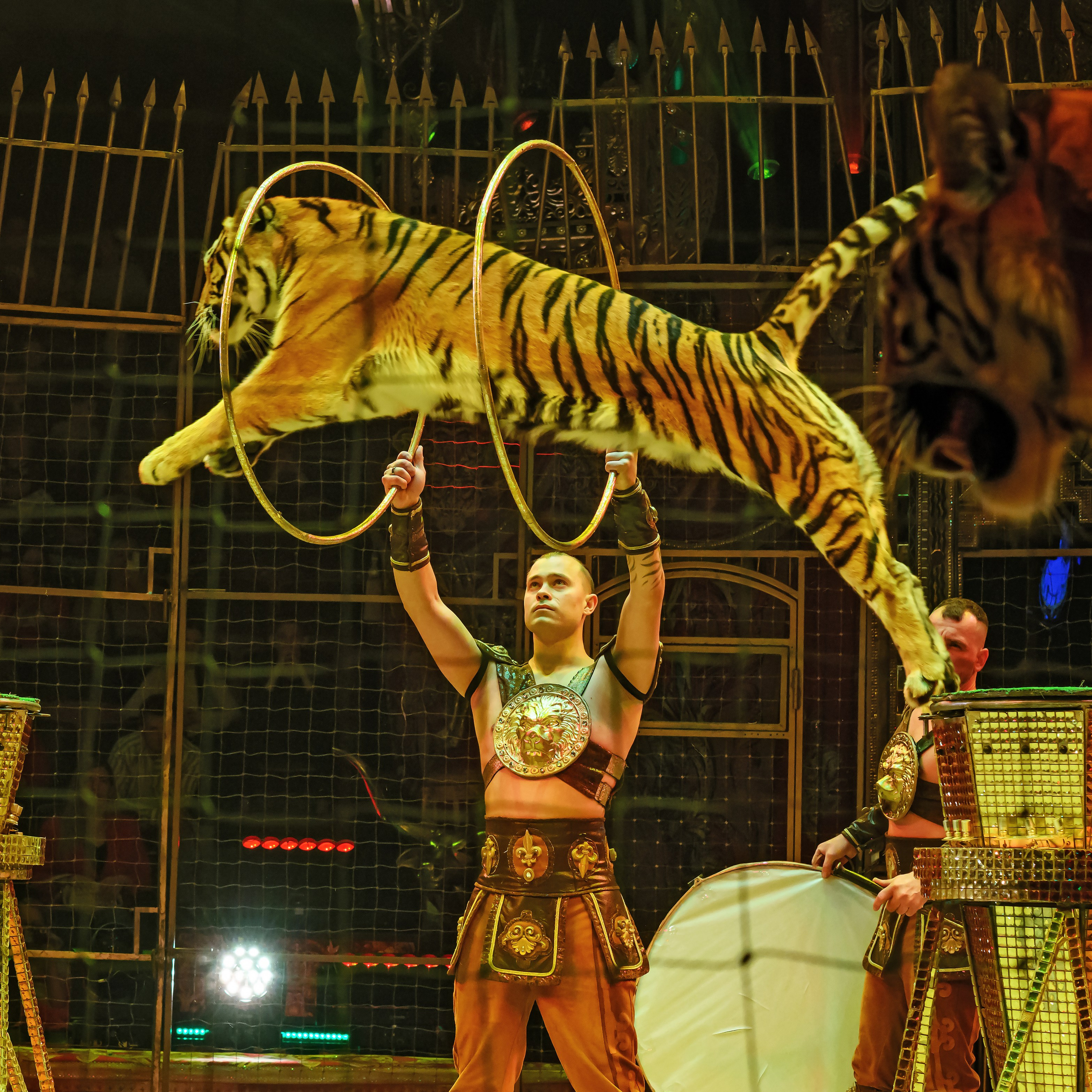 Шоу «Королевский цирк». Фотограф Андрей Пухов (Jazz)