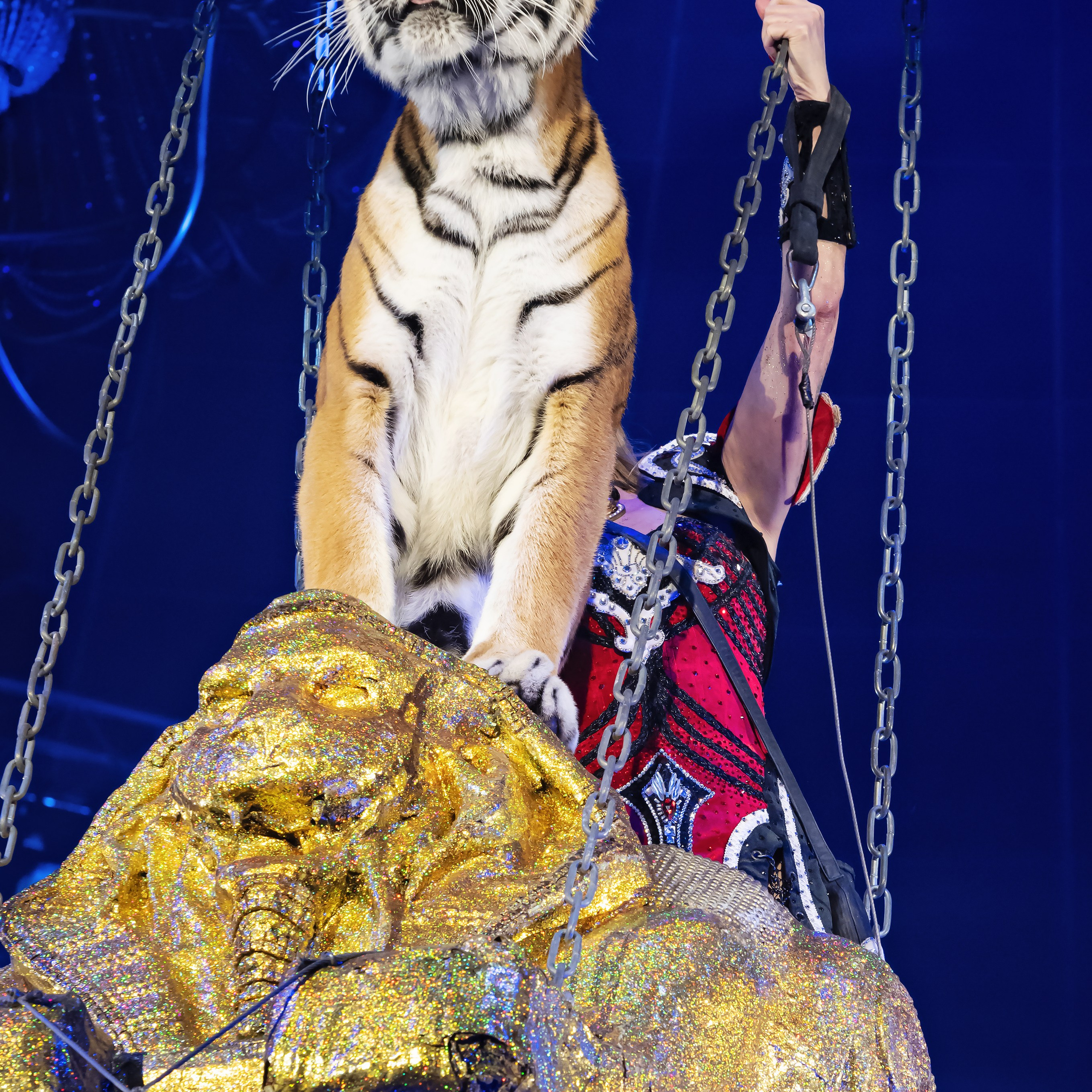 Королевский цирк ПРЕМЬЕРА НН. Фотограф Андрей Пухов (Jazz)