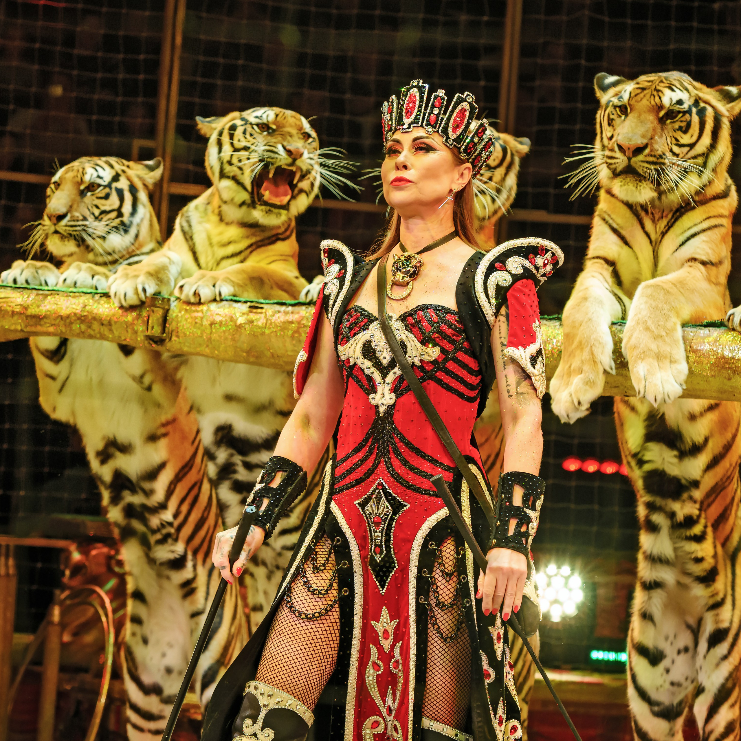 Шоу «Королевский цирк». Фотограф Андрей Пухов (Jazz)