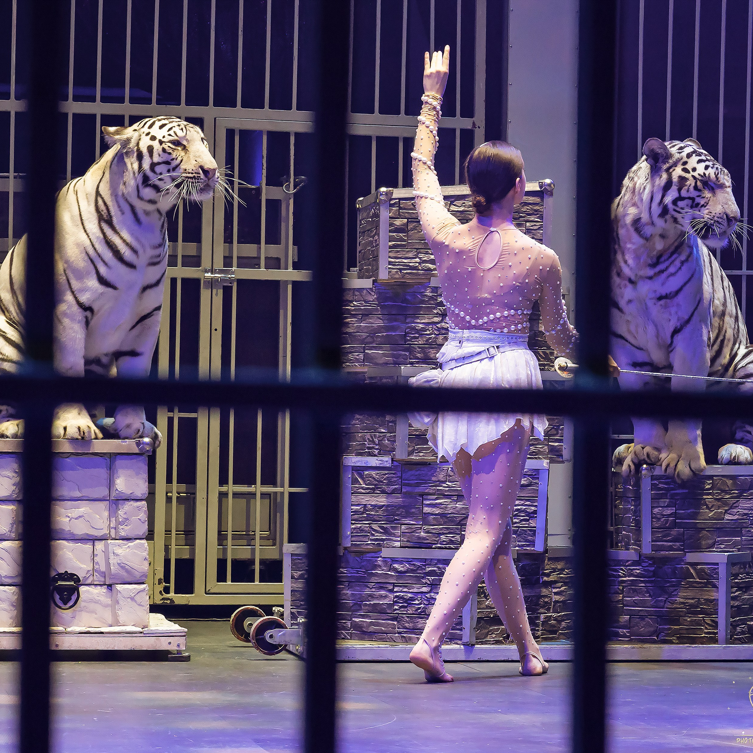 🍭Вкусное шоу «WOW»🍫. Фотограф Андрей Пухов (Jazz)