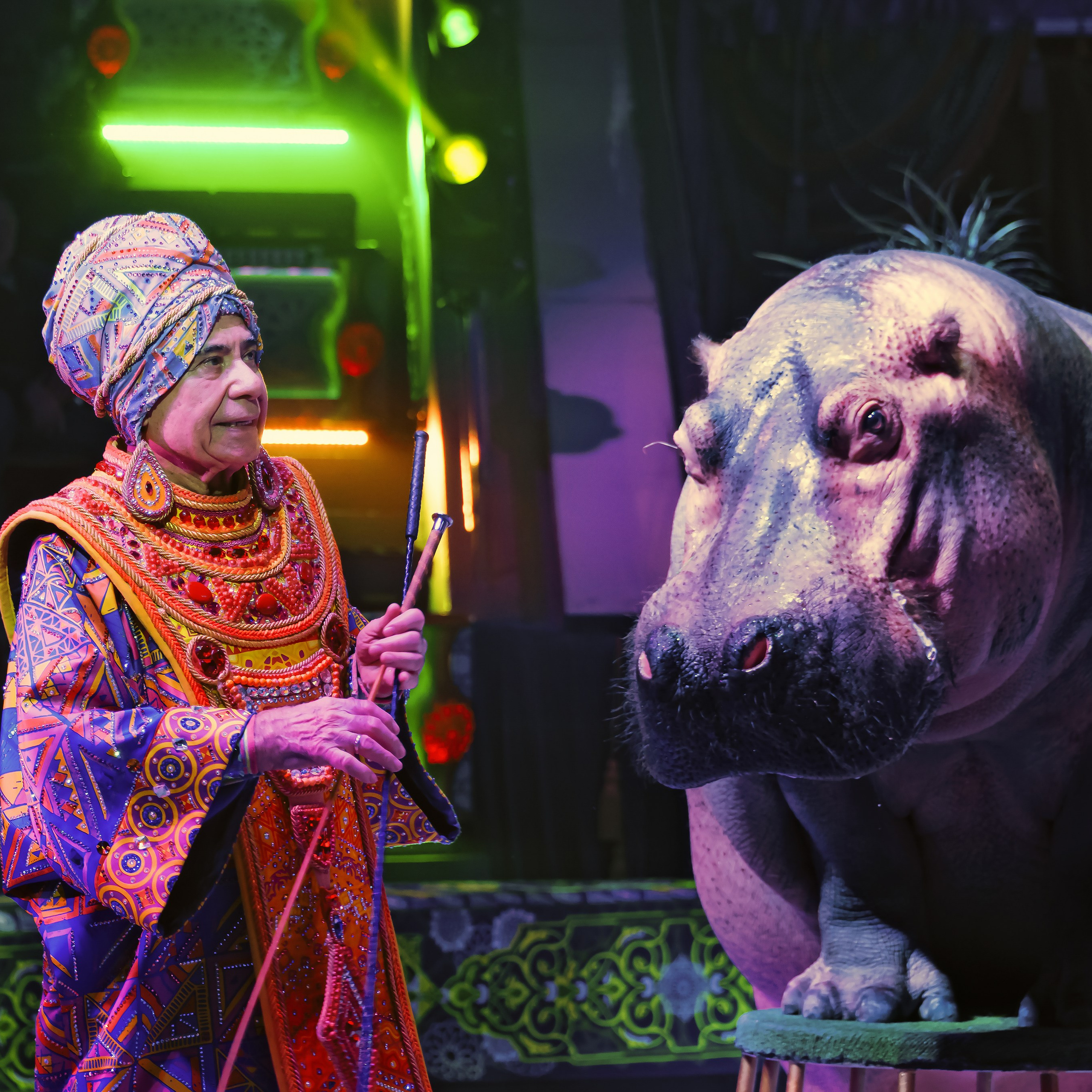 «С окончанием» шоу «Песчаная сказка» в Нижнем Новгороде. ✨🎪🐪. Цирковой фотограф Андрей Пухов (Jazz)