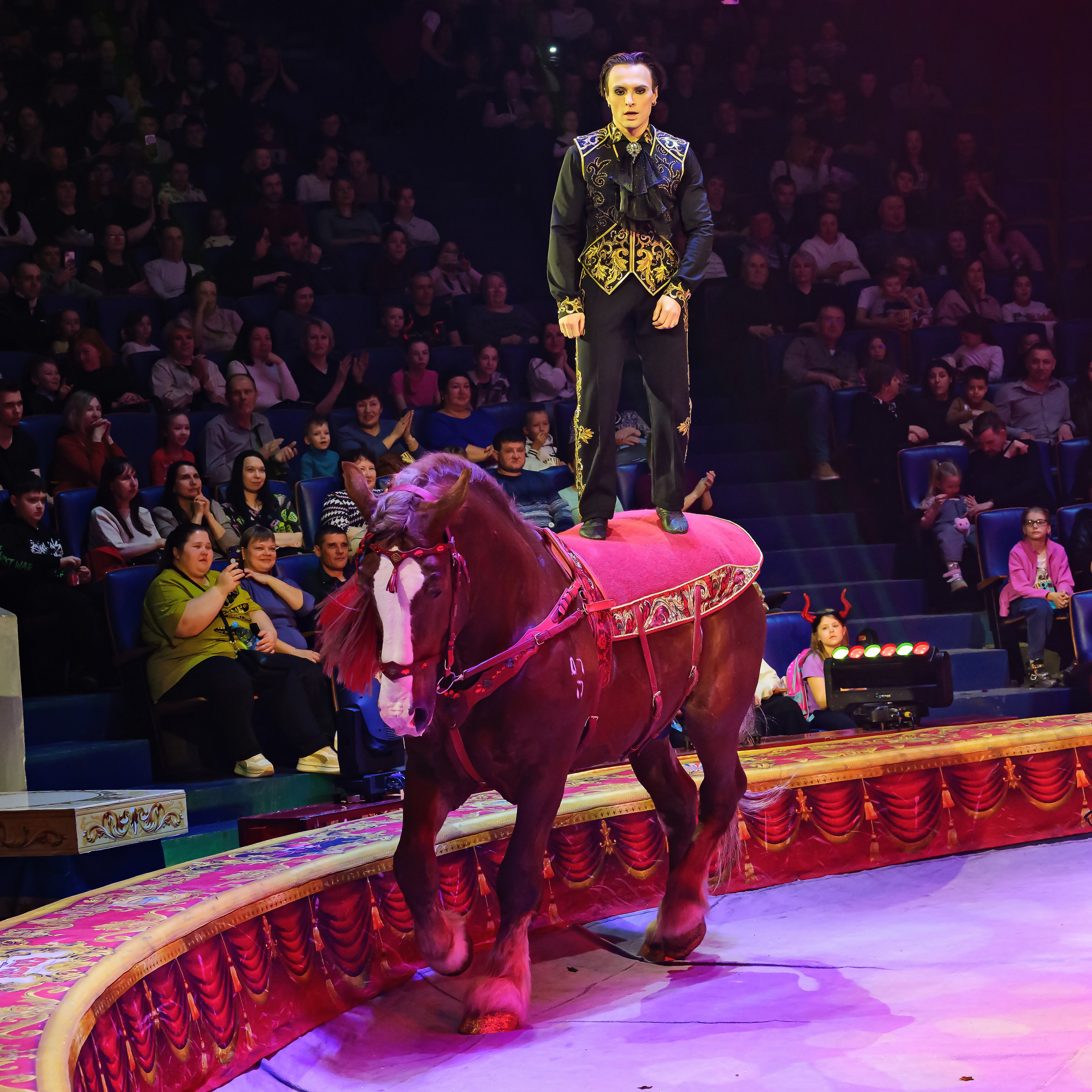 Royal Circus (новые номера). Фотограф Андрей Пухов (Jazz)