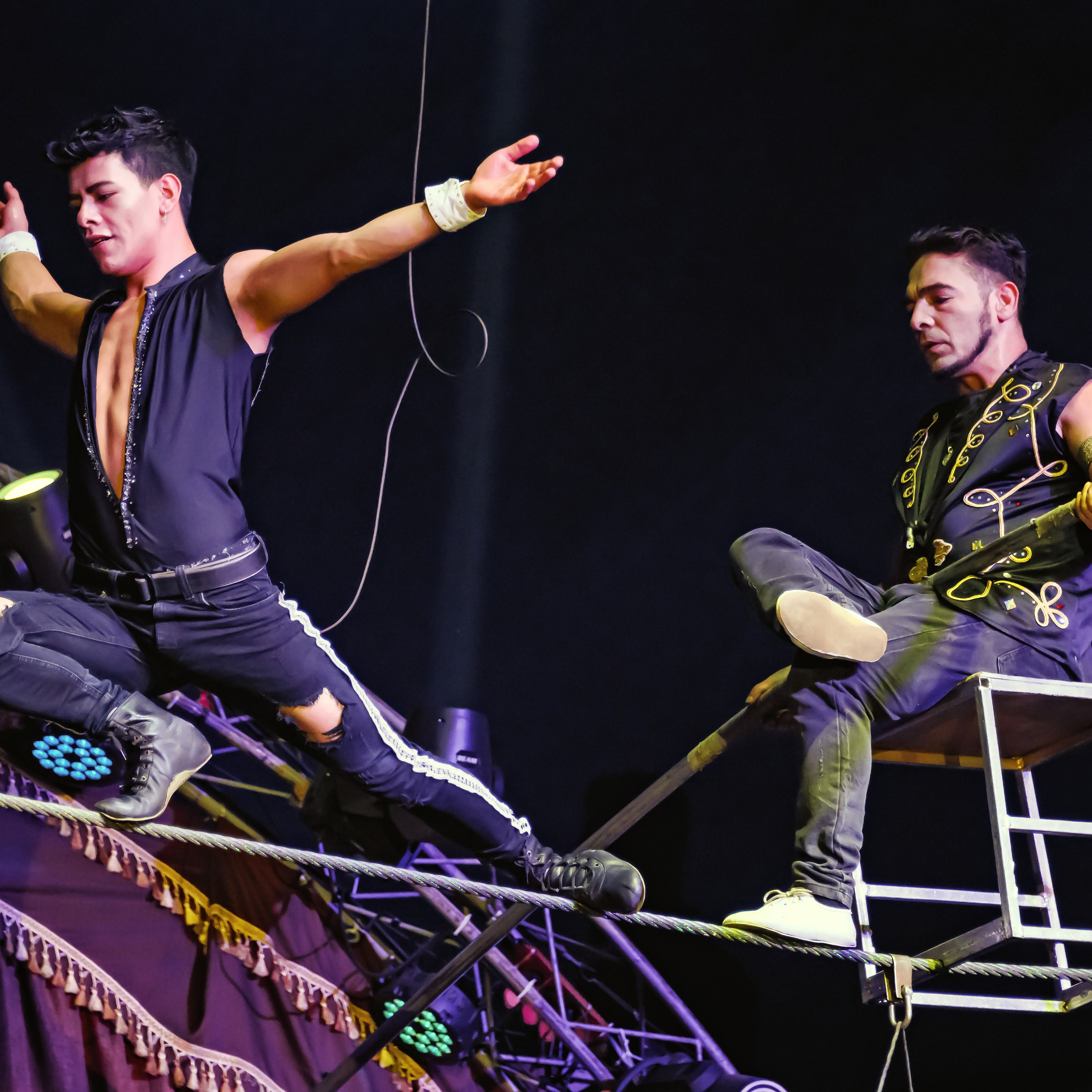 Шоу Демидовых. Цирковой фотограф Андрей Пухов (Jazz)