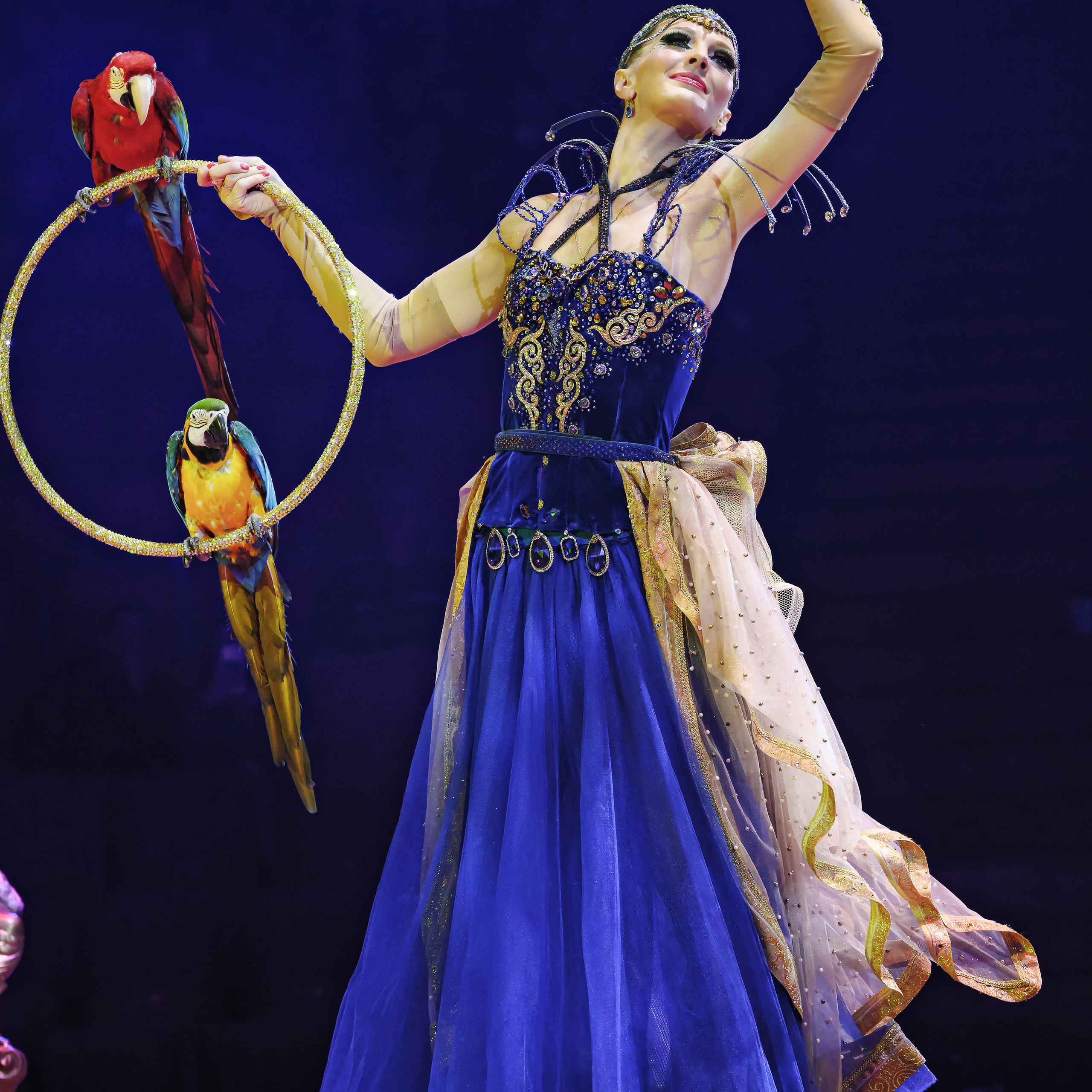 Принц Цирка (Продюсерский центр Влада Гончарова)🎪🦁. Фотограф Андрей Пухов (Jazz)