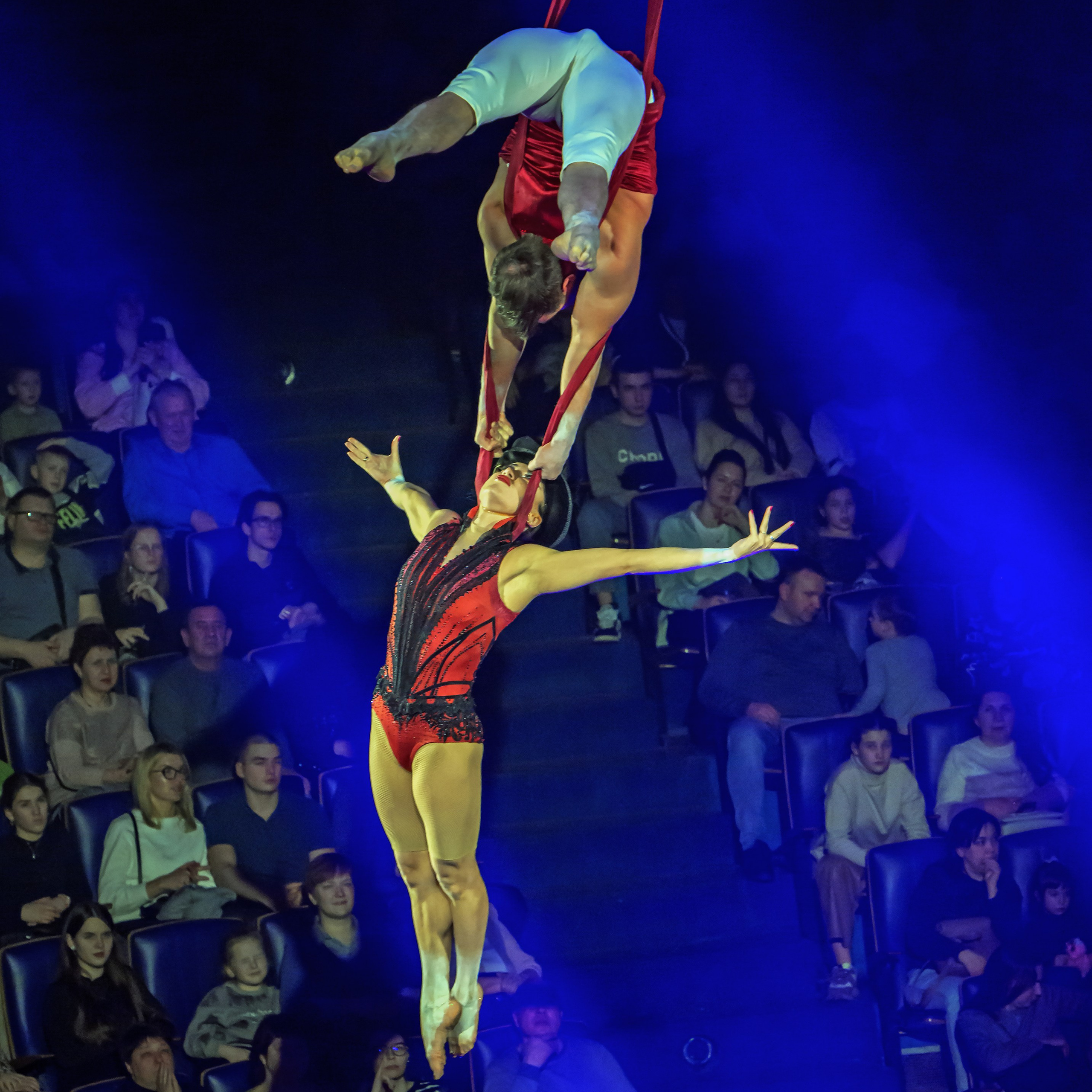 Шоу «Королевский цирк». Фотограф Андрей Пухов (Jazz)