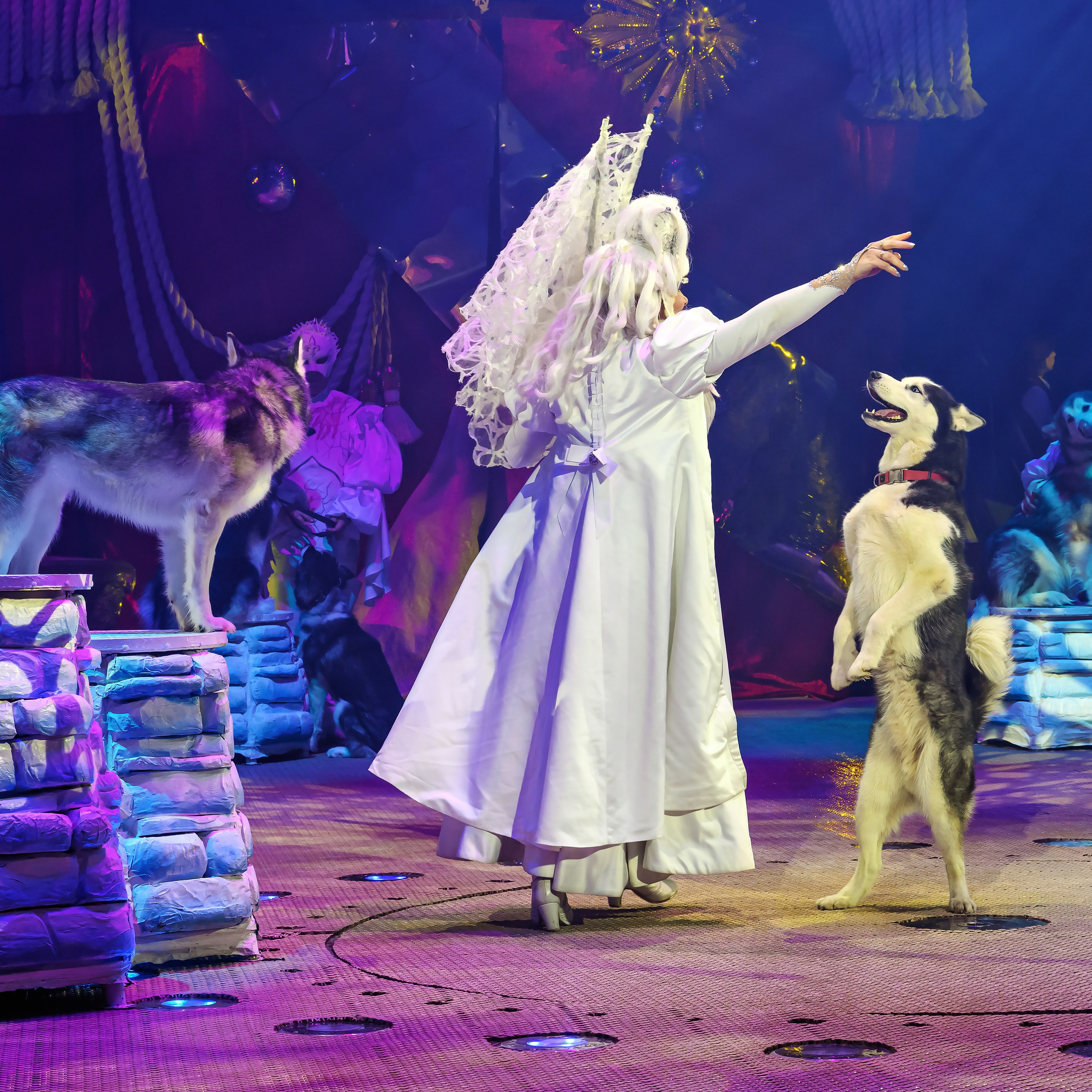 Шоу фонтанов «Принц цирка» 🎪 09.11.2024. Фотограф Андрей Пухов (Jazz)