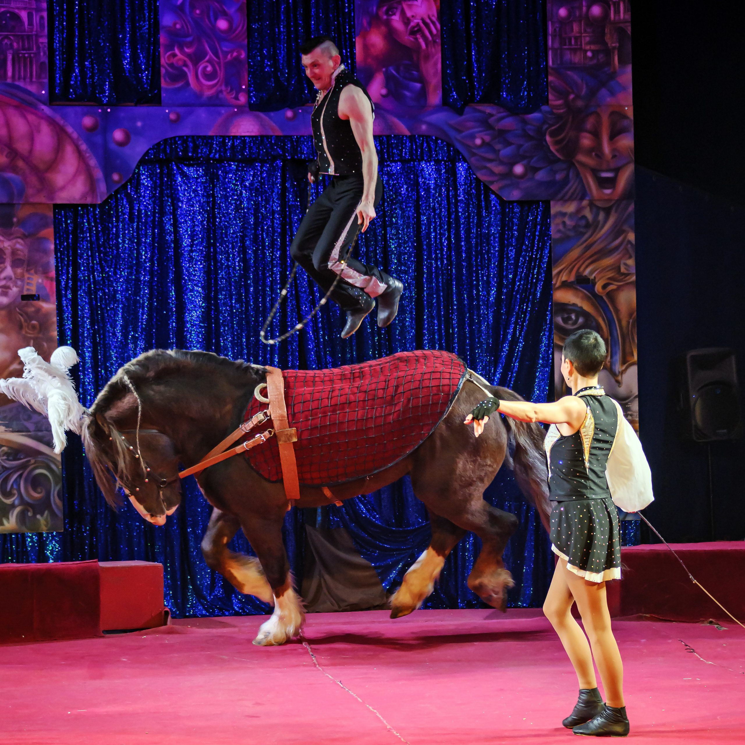 Международный цирк"HAPPY CIRCUS». Фотограф Андрей Пухов (Jazz)