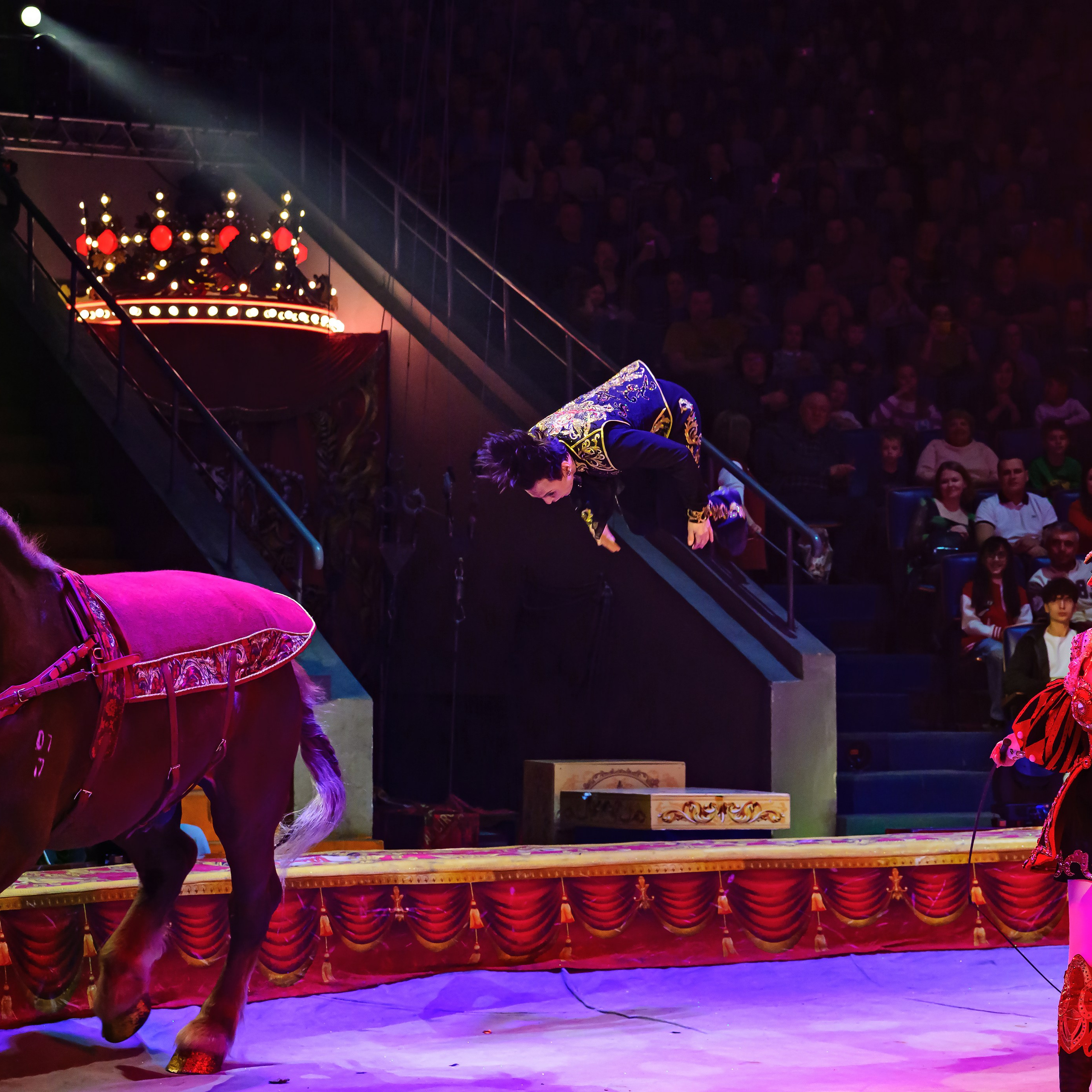 Royal Circus (новые номера). Фотограф Андрей Пухов (Jazz)