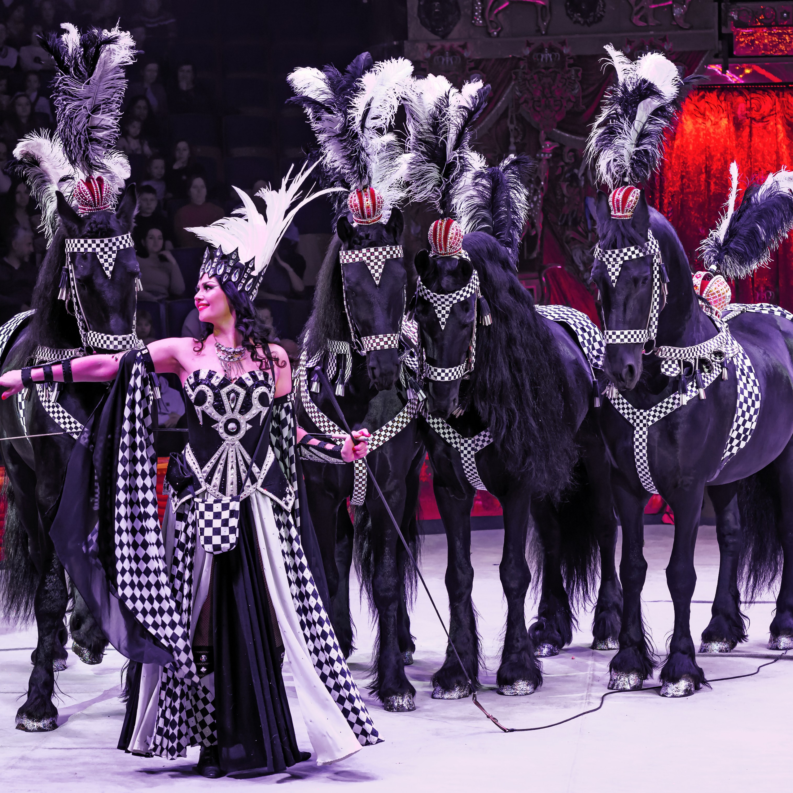 ГРАНДИОЗНОЕ ЦИРКОВОЕ ШОУ ЗАСЛУЖЕННОГО АРТИСТА РОССИИ ГИИ ЭРАДЗЕ. Фотограф Андрей Пухов (Jazz)