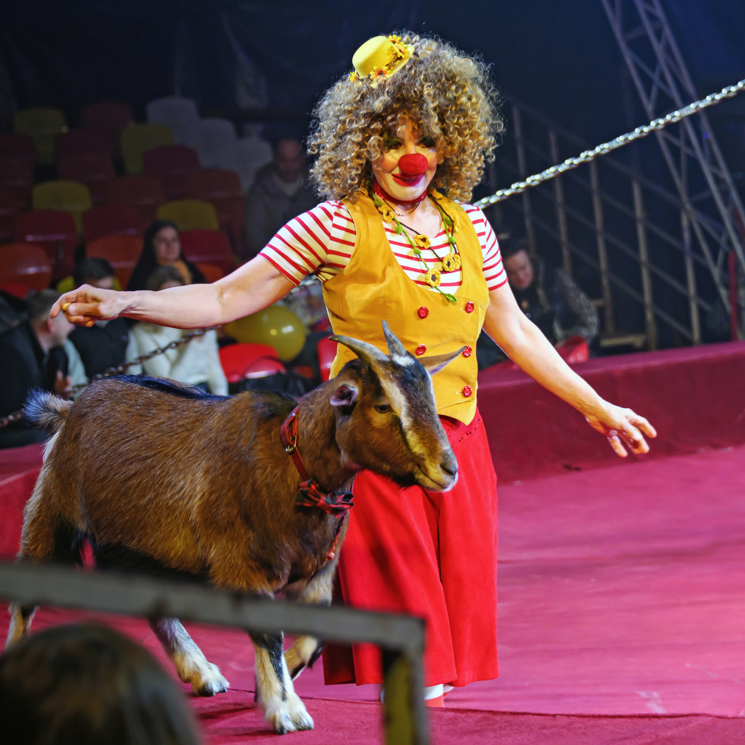 Международный цирк"HAPPY CIRCUS». Фотограф Андрей Пухов (Jazz)