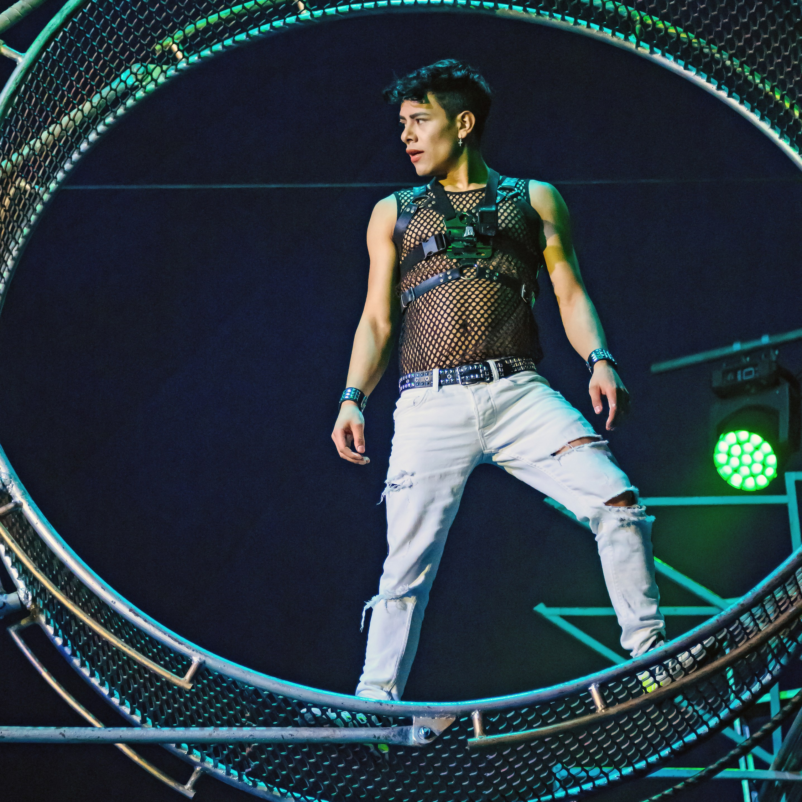 Шоу Демидовых. Цирковой фотограф Андрей Пухов (Jazz)