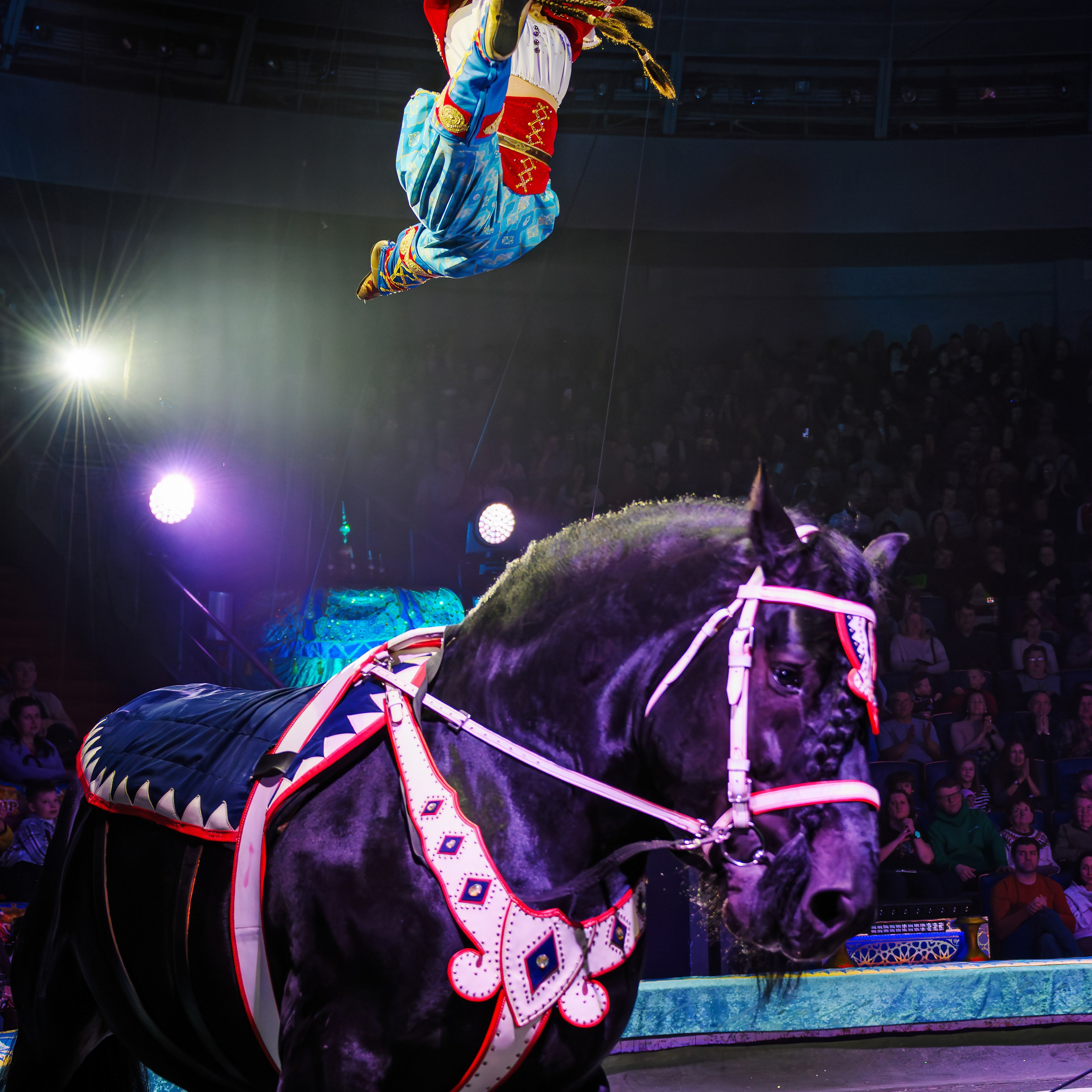 Песчаная сказка Гии Эрадзе — волшебное шоу 🎪, которое должен увидеть каждый, кто ценит красоту🌹, талант 🎭 и умение мечтать 💫. Цирковой фотограф Андрей Пухов (Jazz)