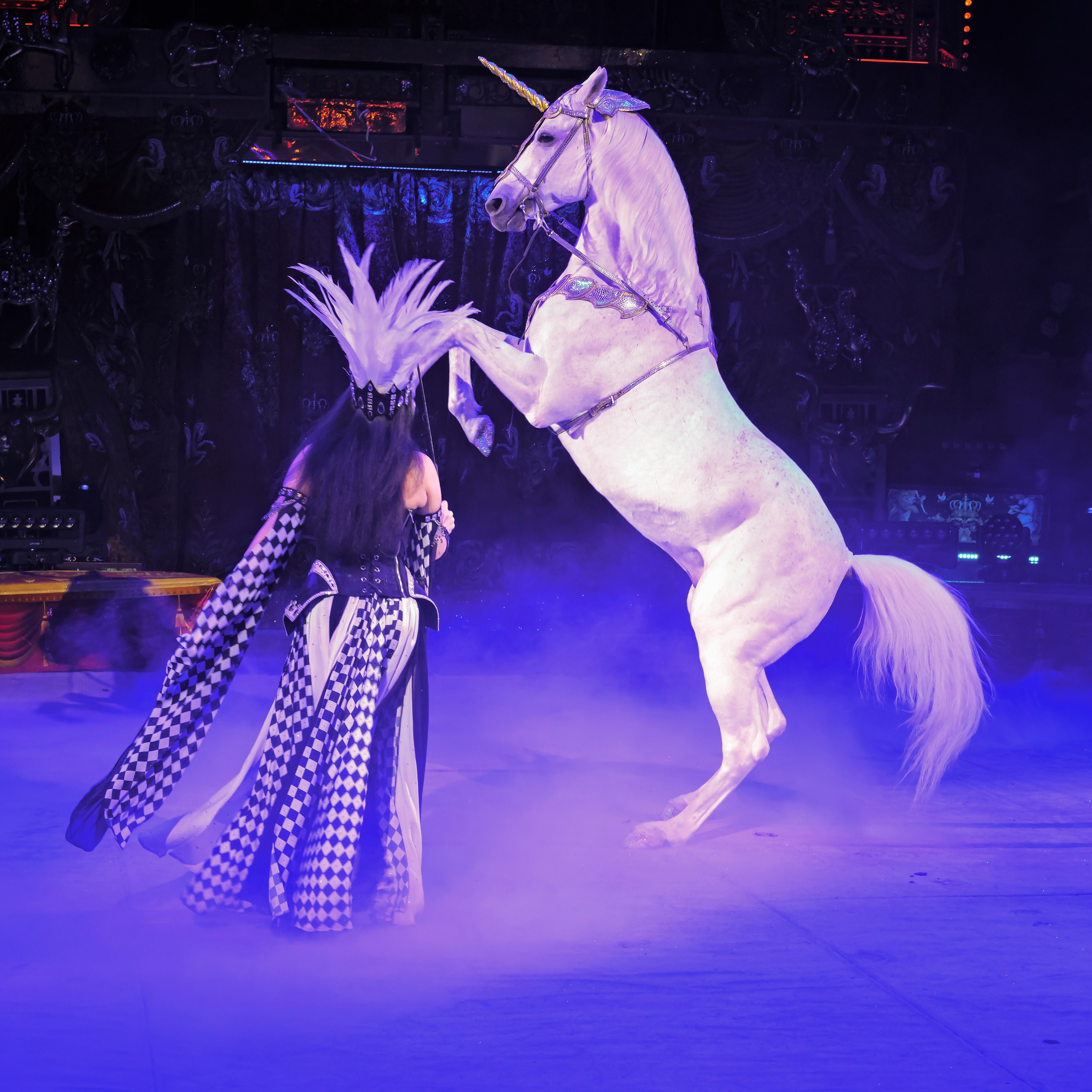 Шоу «Королевский цирк». Фотограф Андрей Пухов (Jazz)