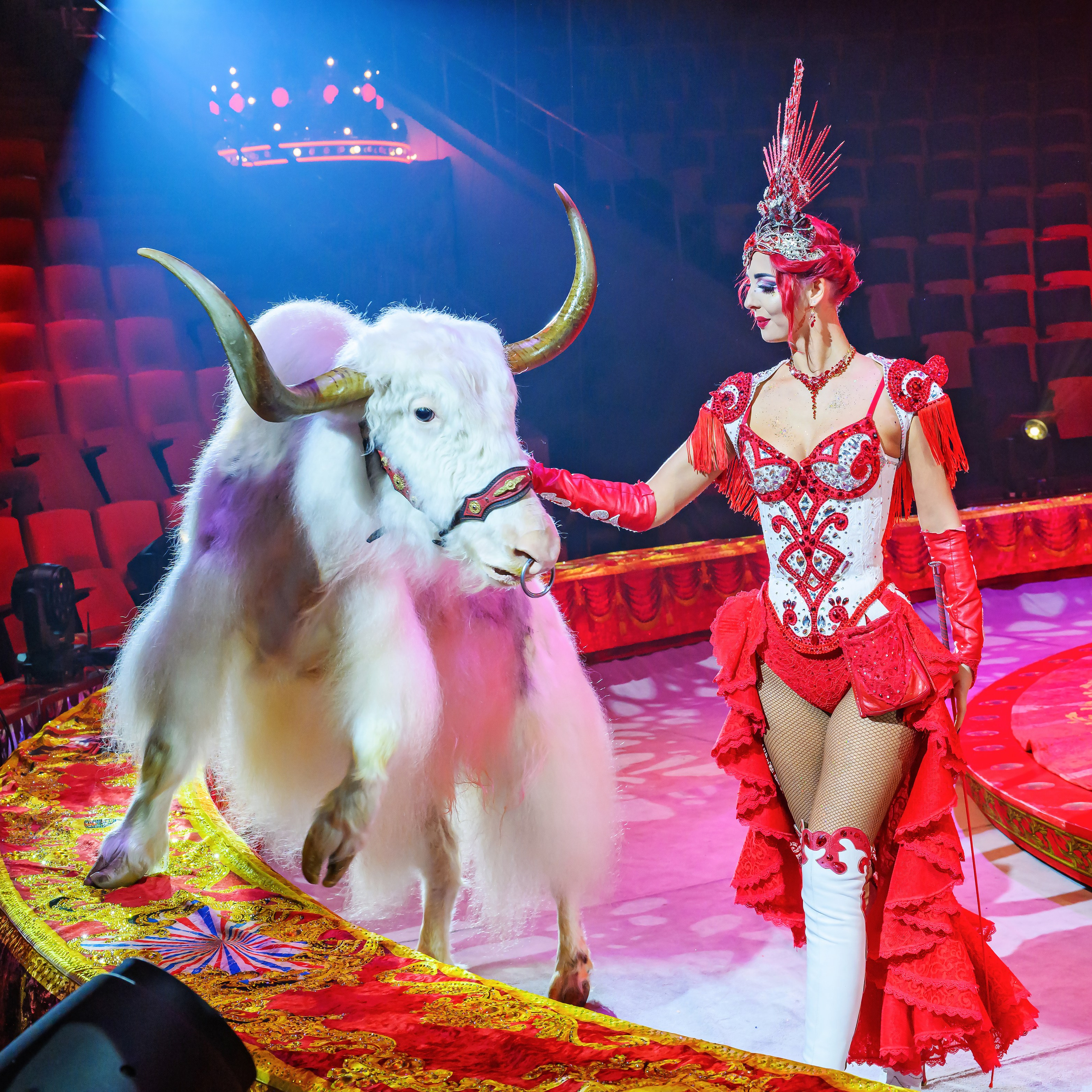 Пресс показ «Королевский цирк». Фотограф Андрей Пухов (Jazz)