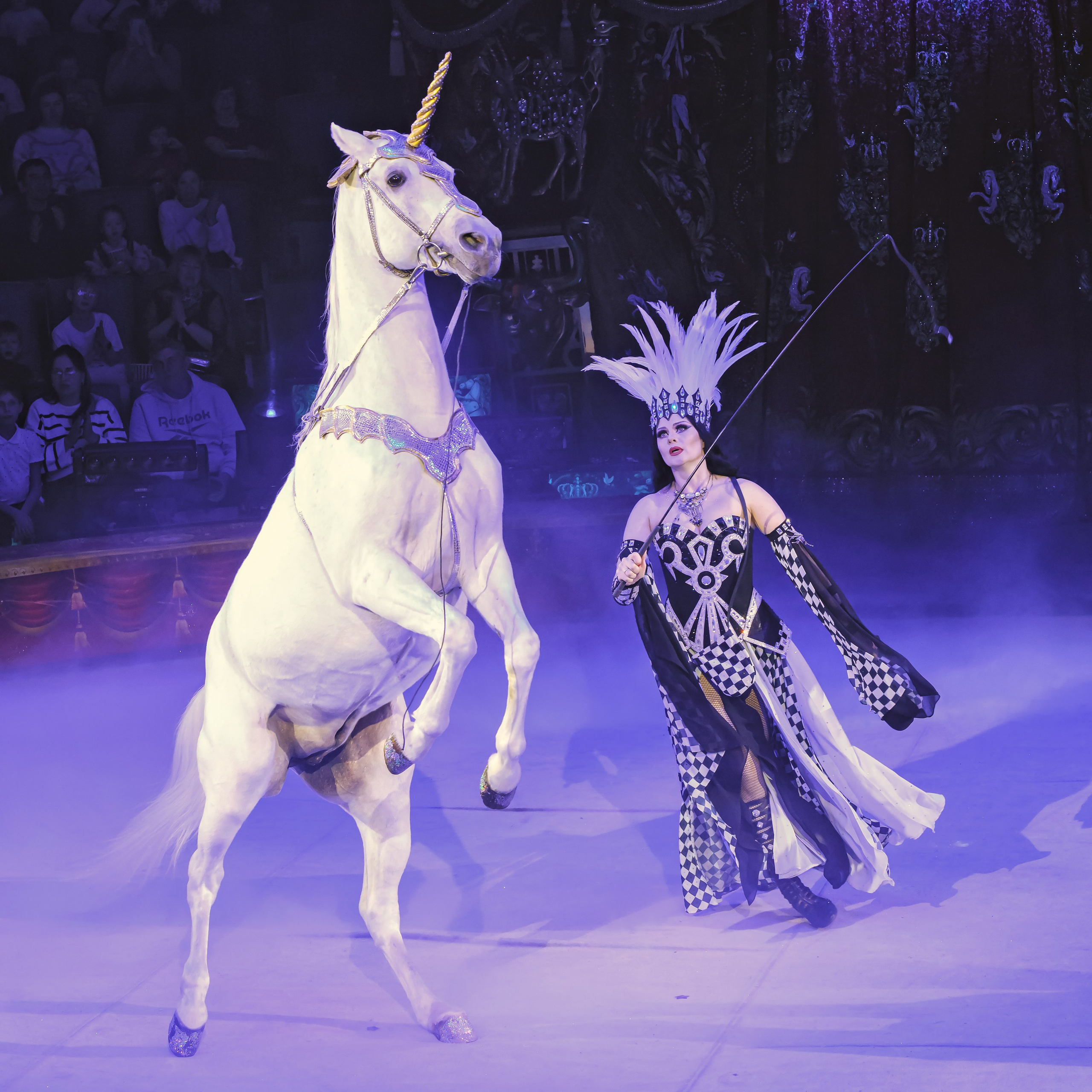 Королевский цирк ПРЕМЬЕРА НН. Фотограф Андрей Пухов (Jazz)