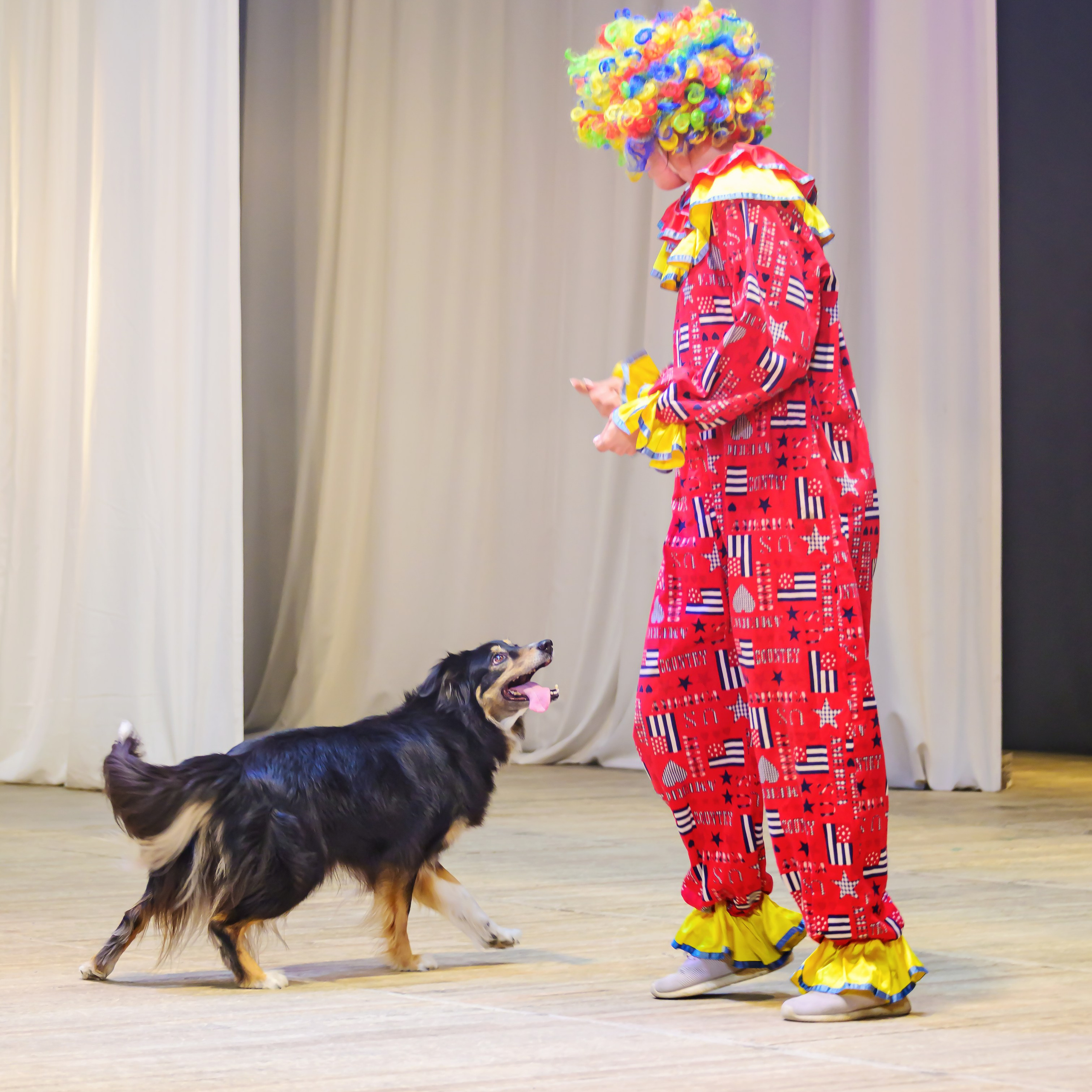 Народный коллектив, цирк «Юность» ДК ГАЗ, г. Нижний Новгород 👏. Фотограф Андрей Пухов (Jazz)
