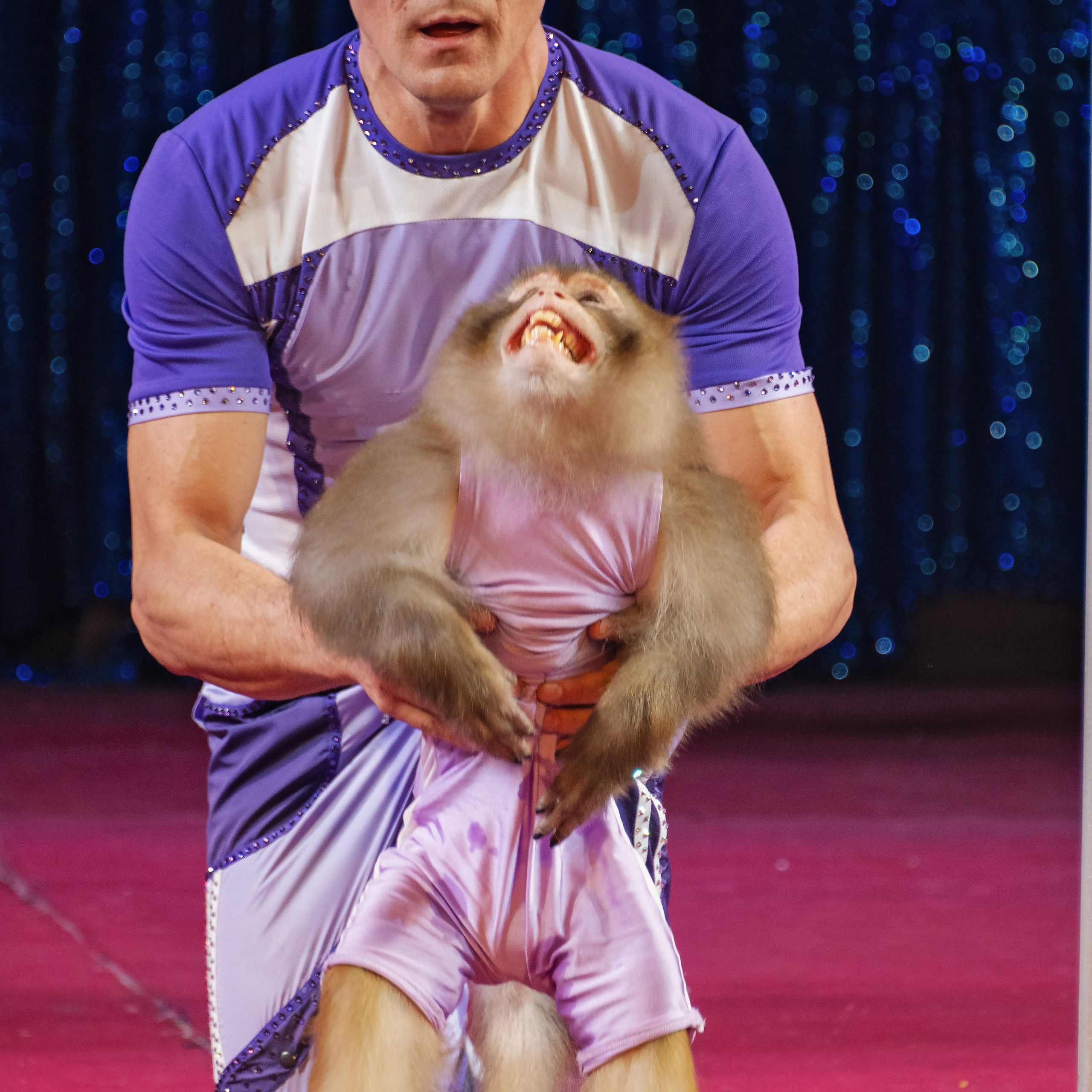 Международный цирк"HAPPY CIRCUS». Фотограф Андрей Пухов (Jazz)