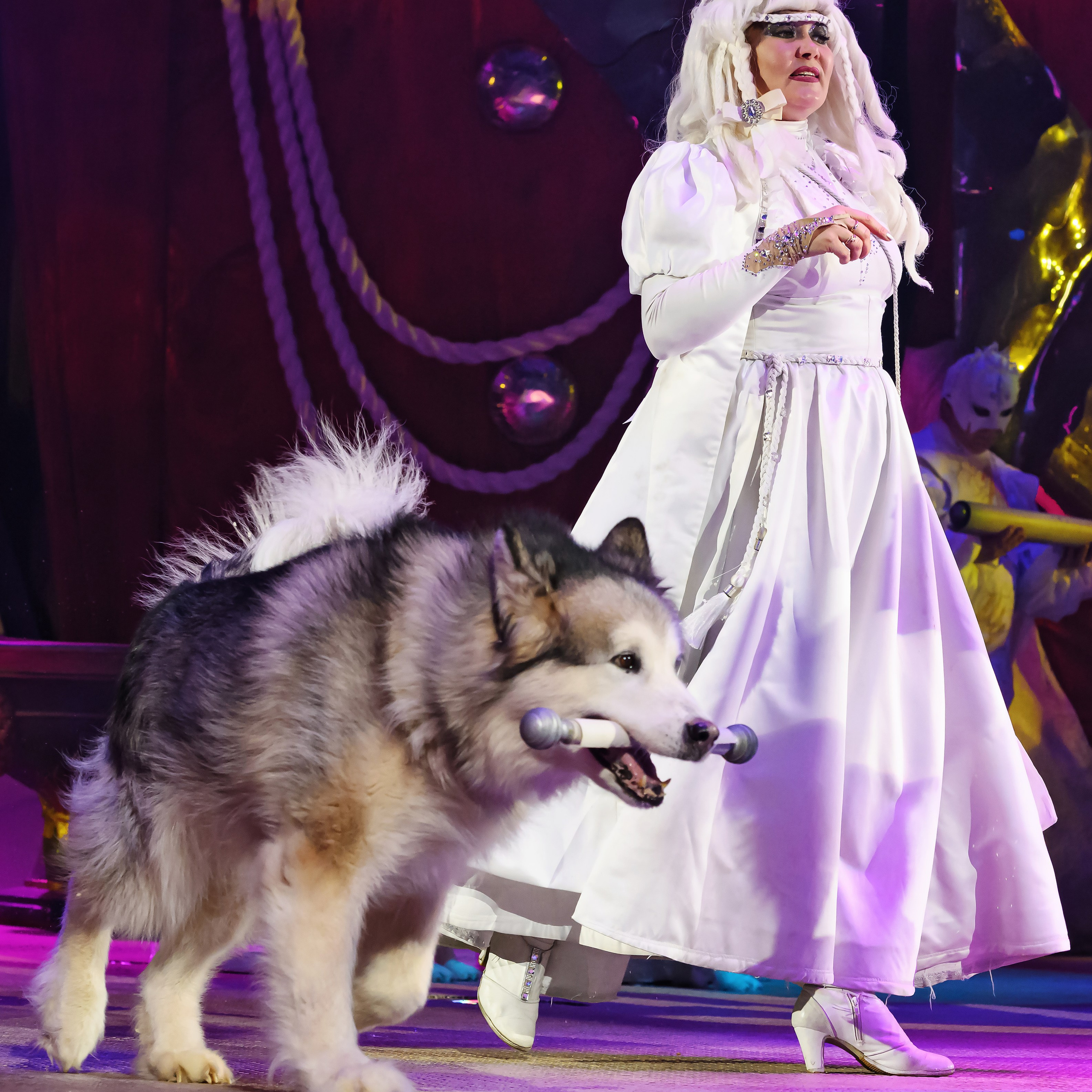 Принц Цирка (Продюсерский центр Влада Гончарова)🎪🦁. Фотограф Андрей Пухов (Jazz)