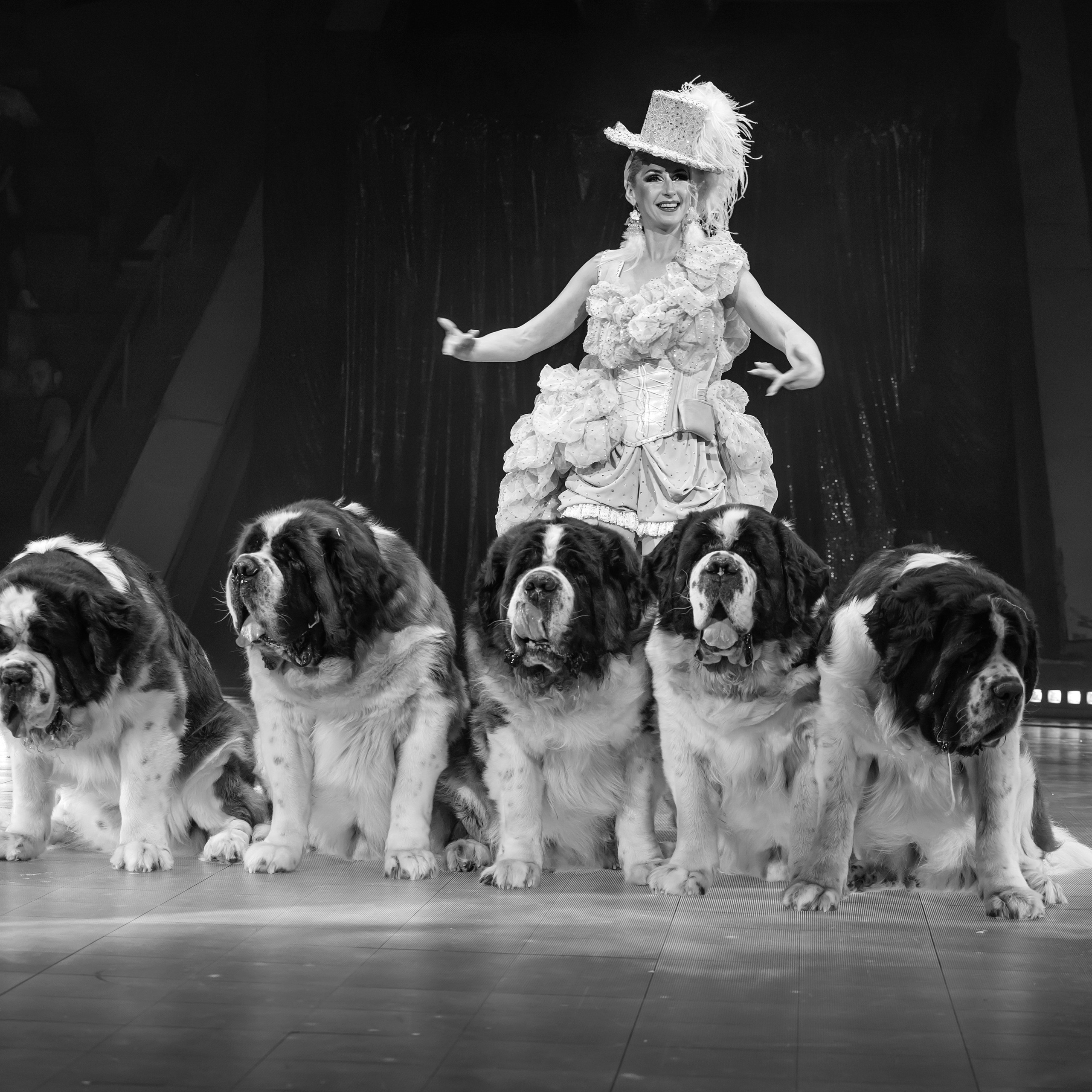 🍭Вкусное шоу «WOW»🍫. Фотограф Андрей Пухов (Jazz)