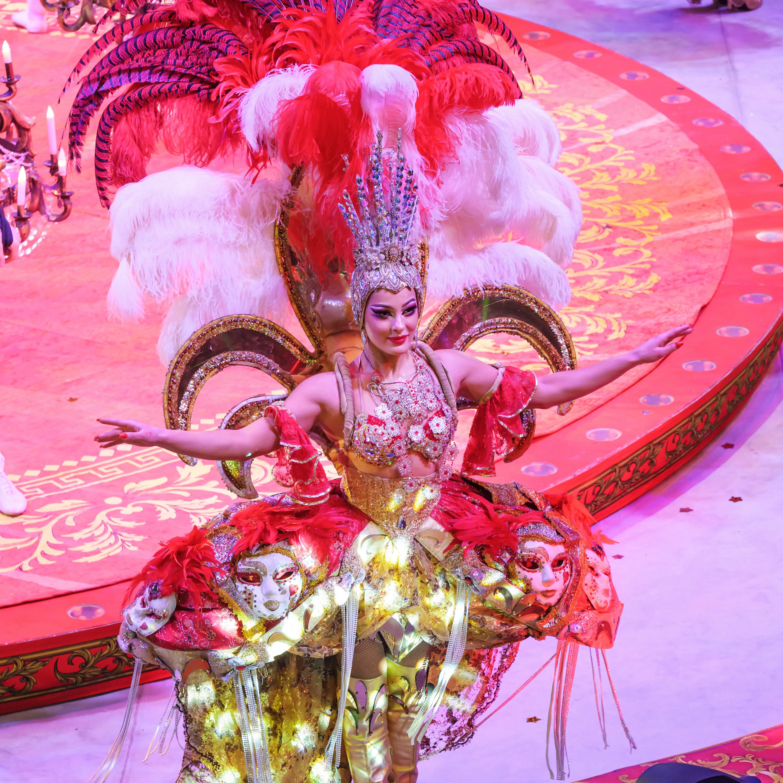 Шоу «Королевский цирк». Фотограф Андрей Пухов (Jazz)